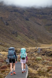 a couple of people that are walking down a path