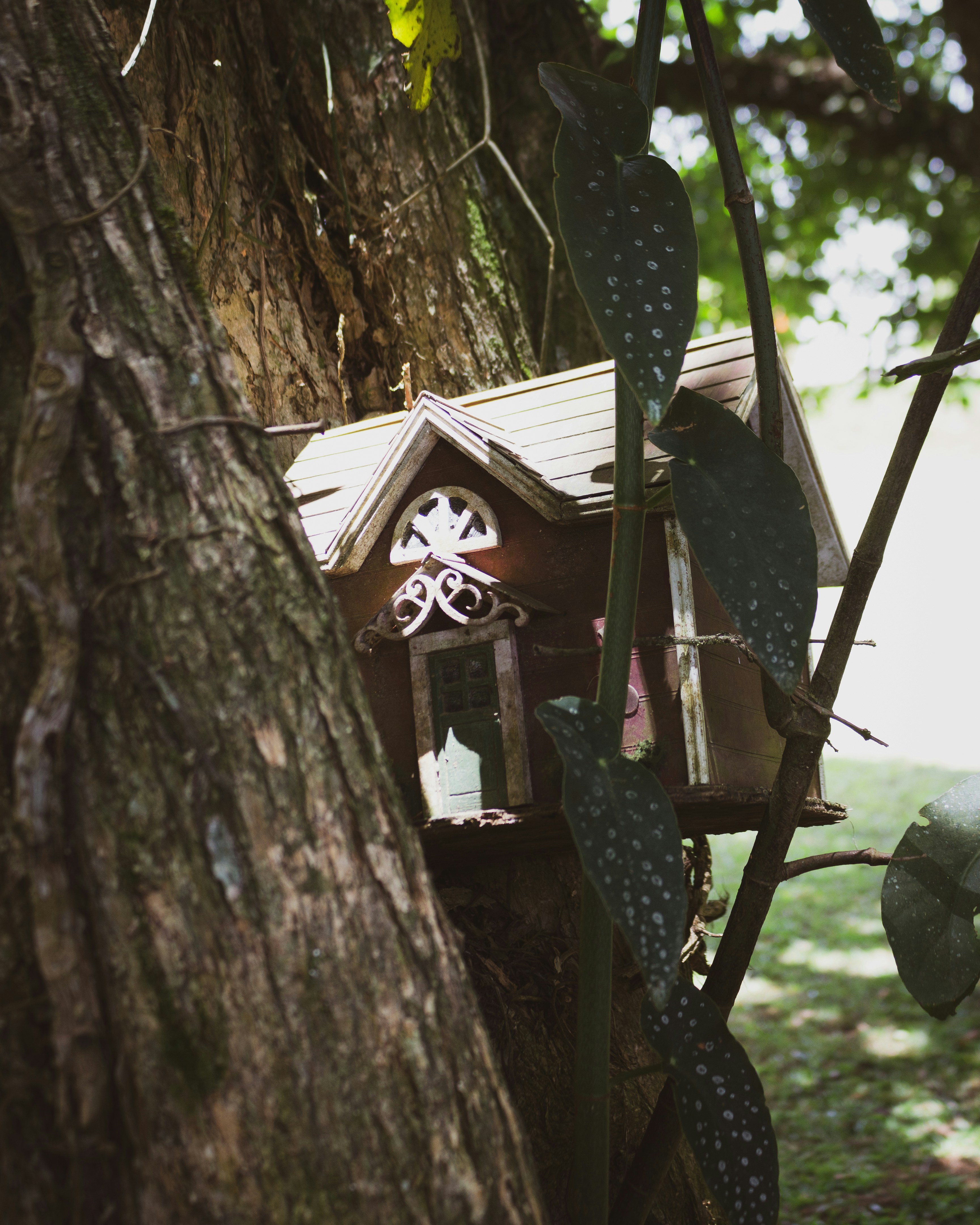 Photo by lucasdalamartaphoto