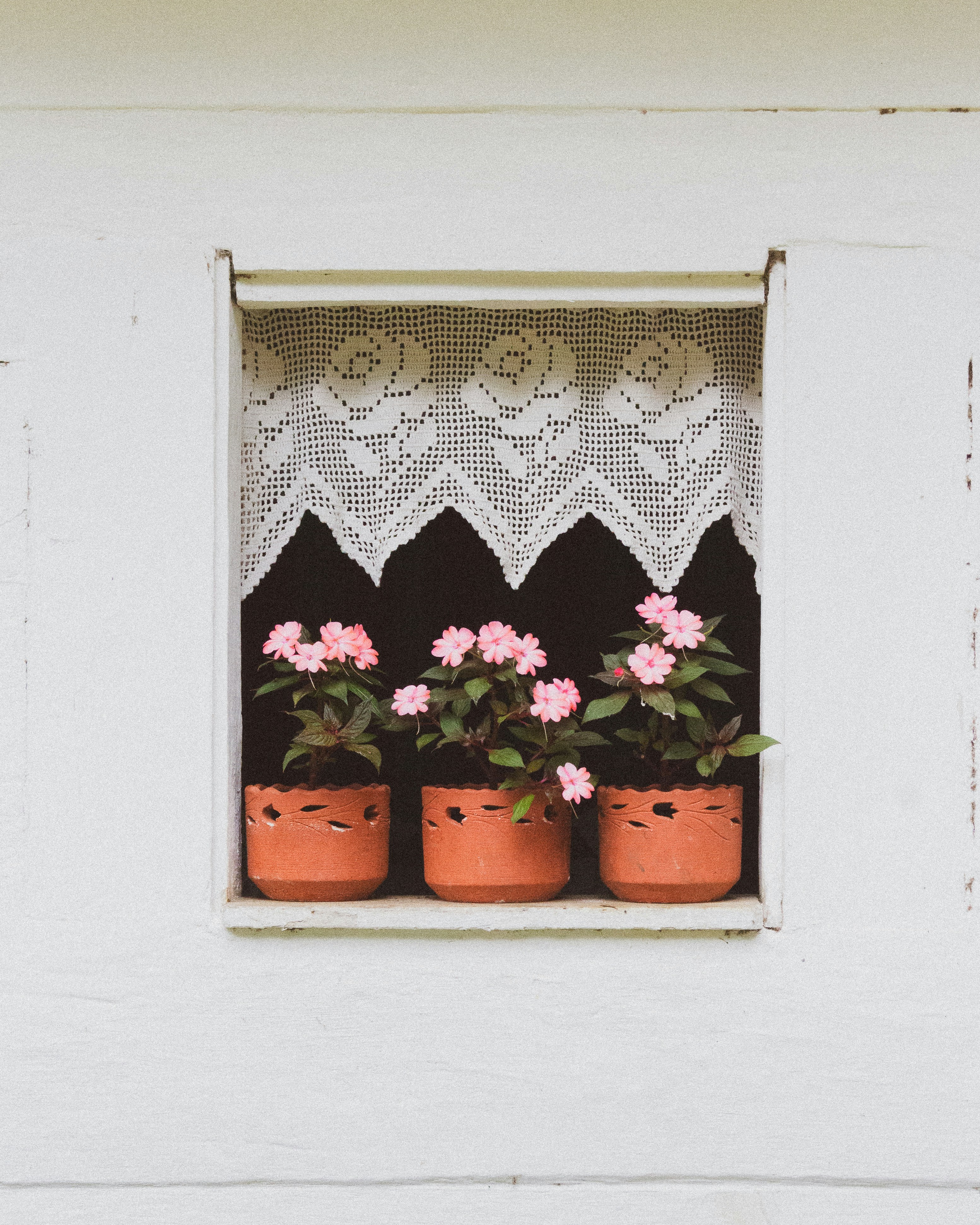 un groupe de fleurs en pot assis sur un rebord de fenêtre