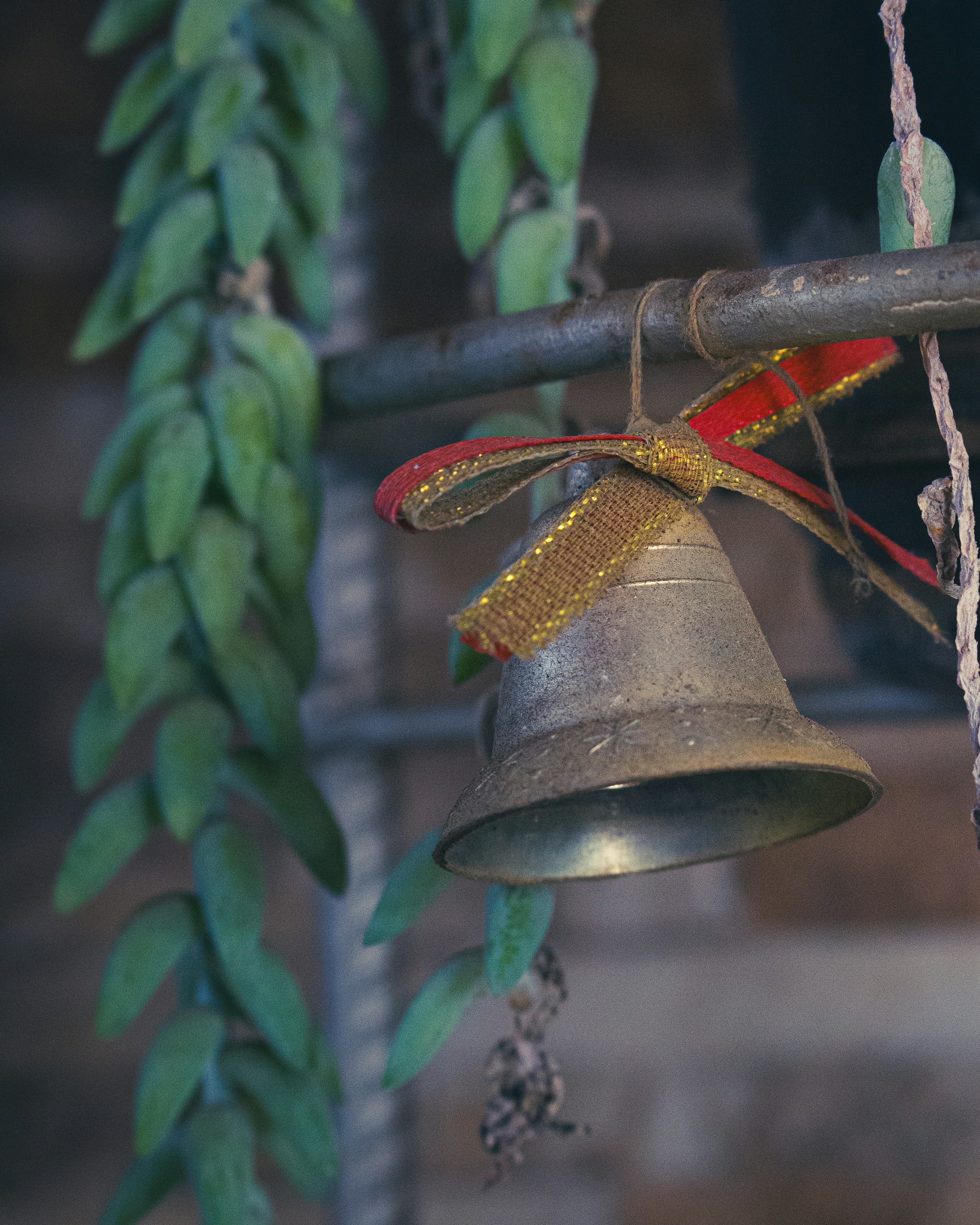 Photo by lucasdalamartaphoto