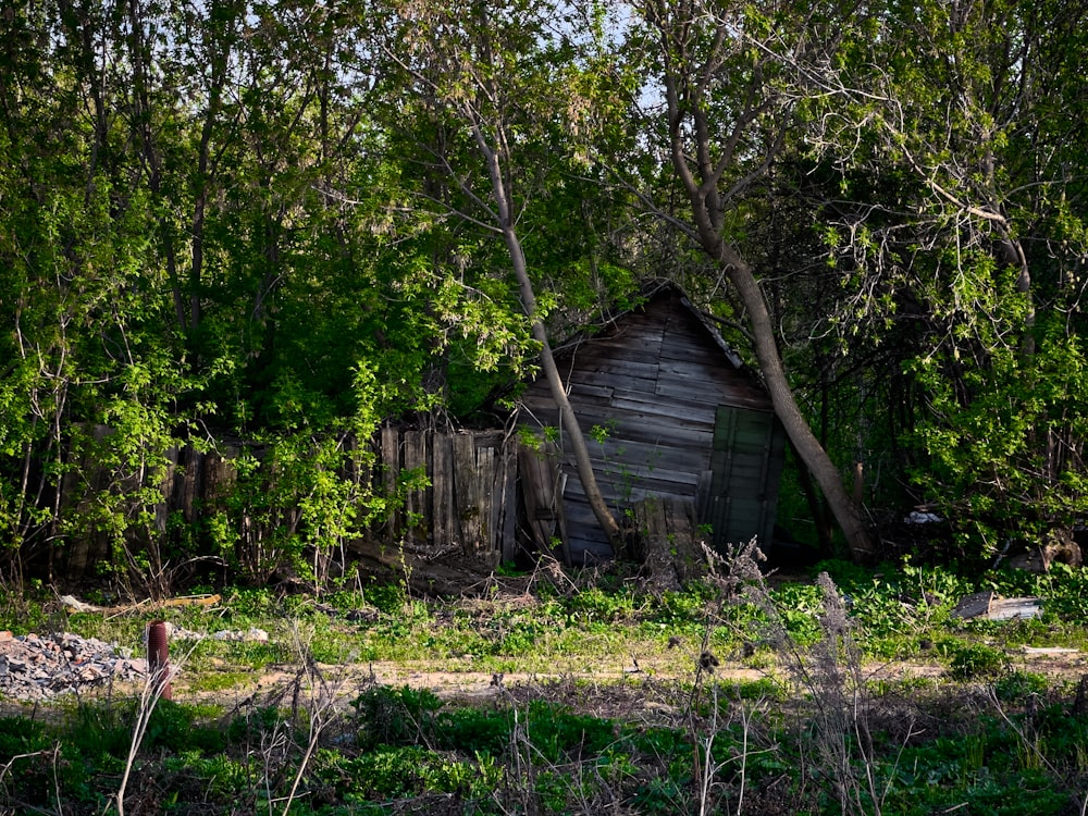 an old shack in the middle of a forest