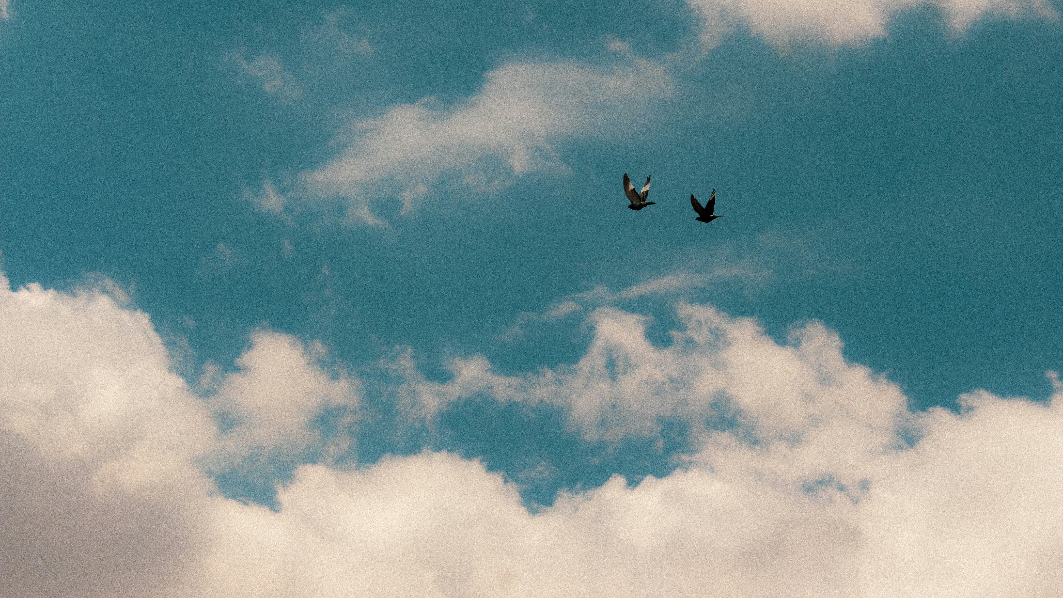 Photo by lucasdalamartaphoto