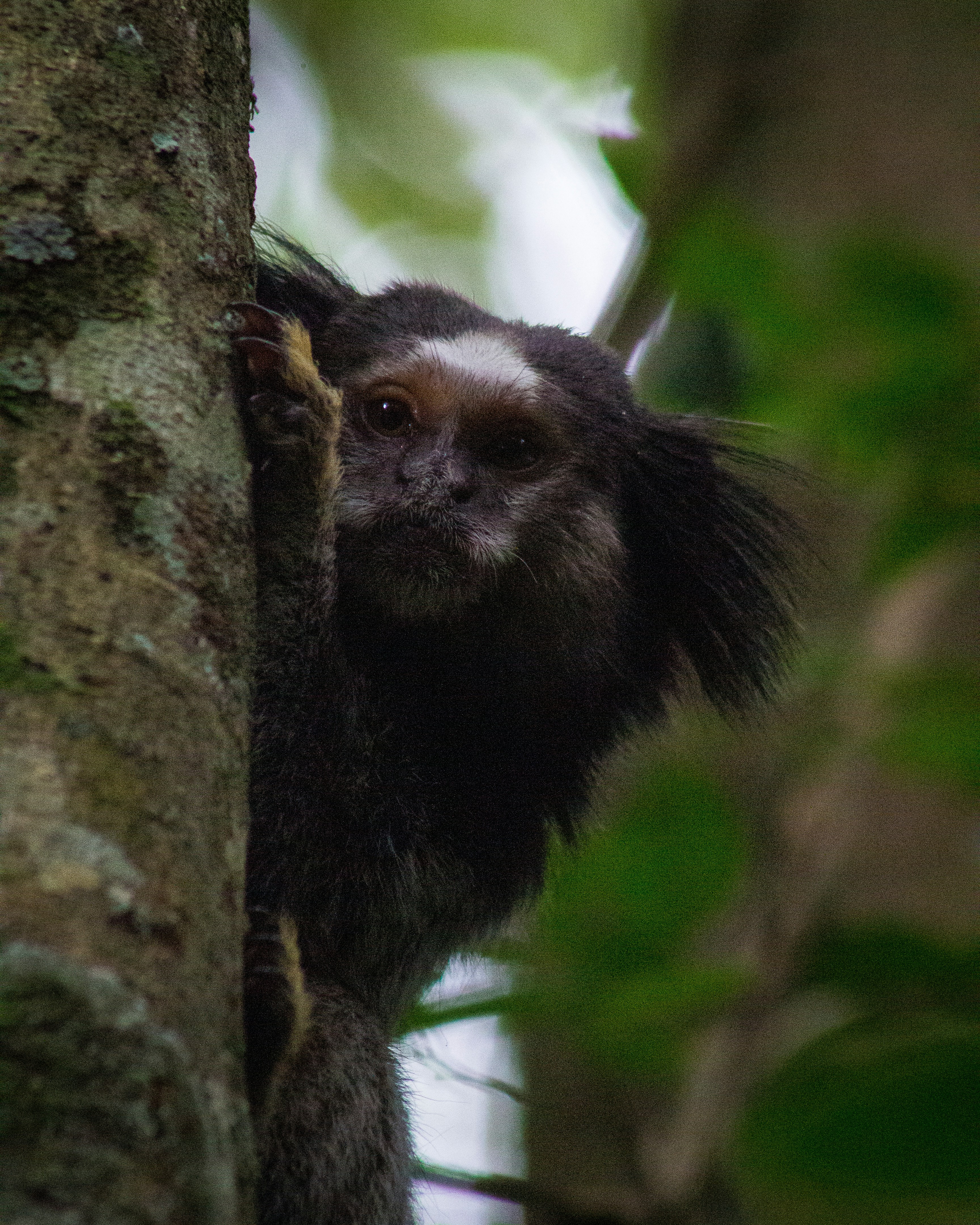 Photo by lucasdalamartaphoto