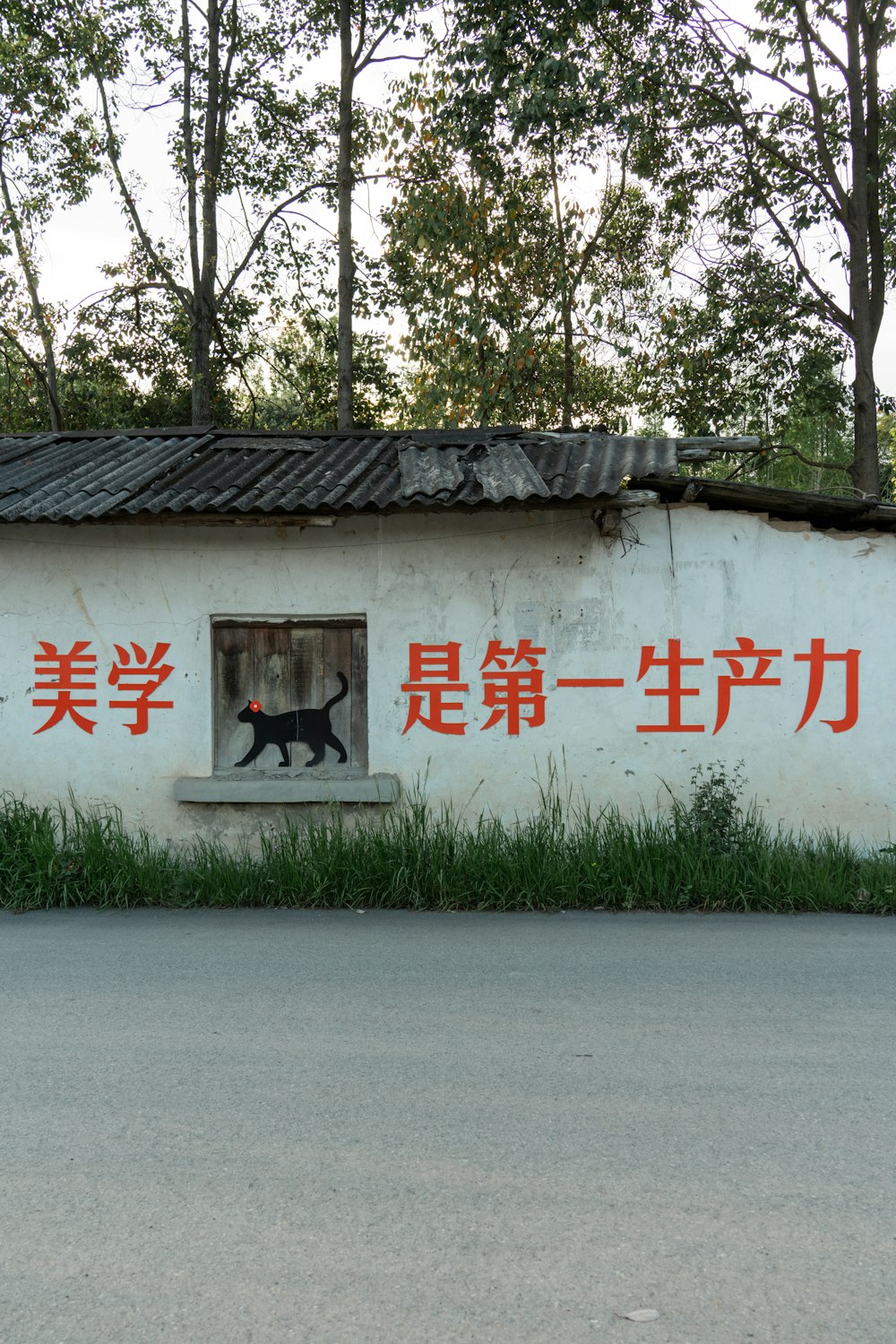 a dog in a window of a building