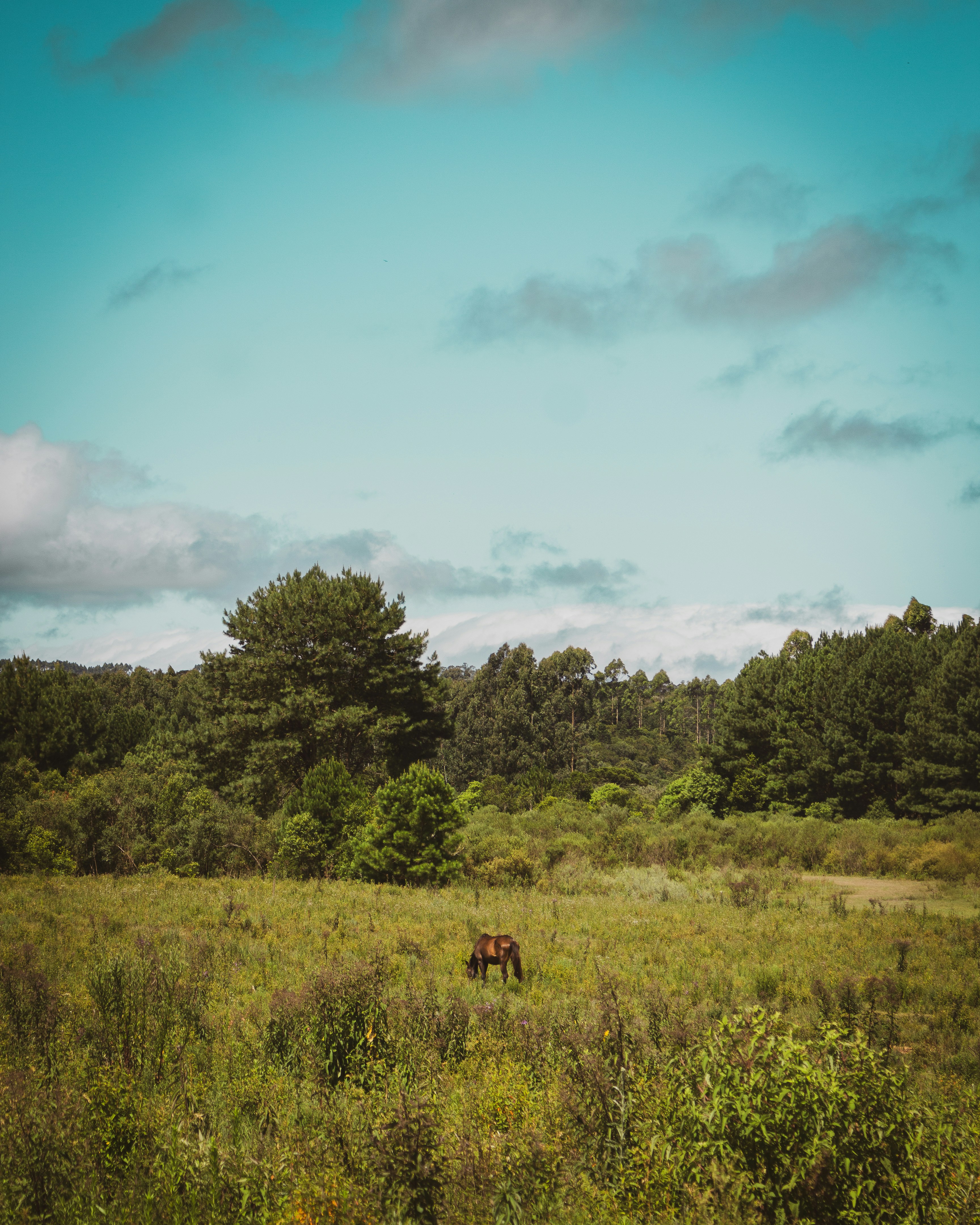 Photo by lucasdalamartaphoto