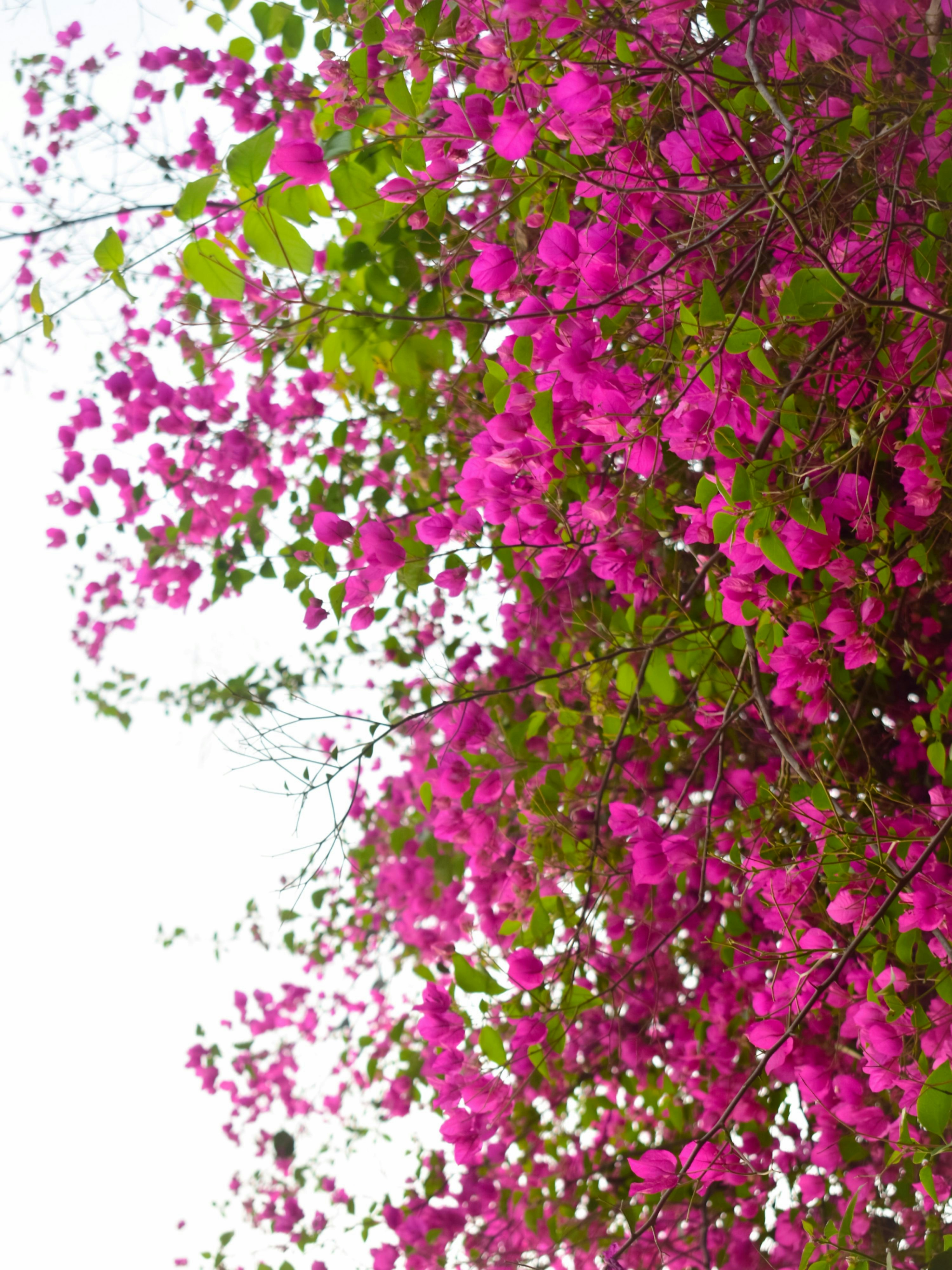 Photo by adventurelife24