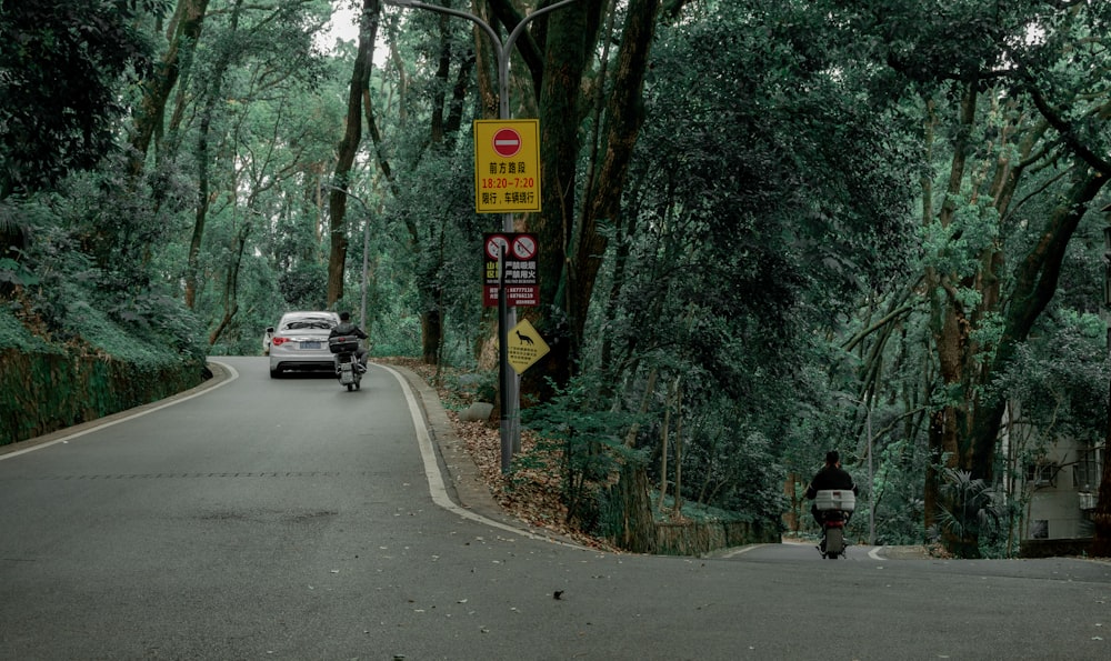 a car driving down a road next to a forest