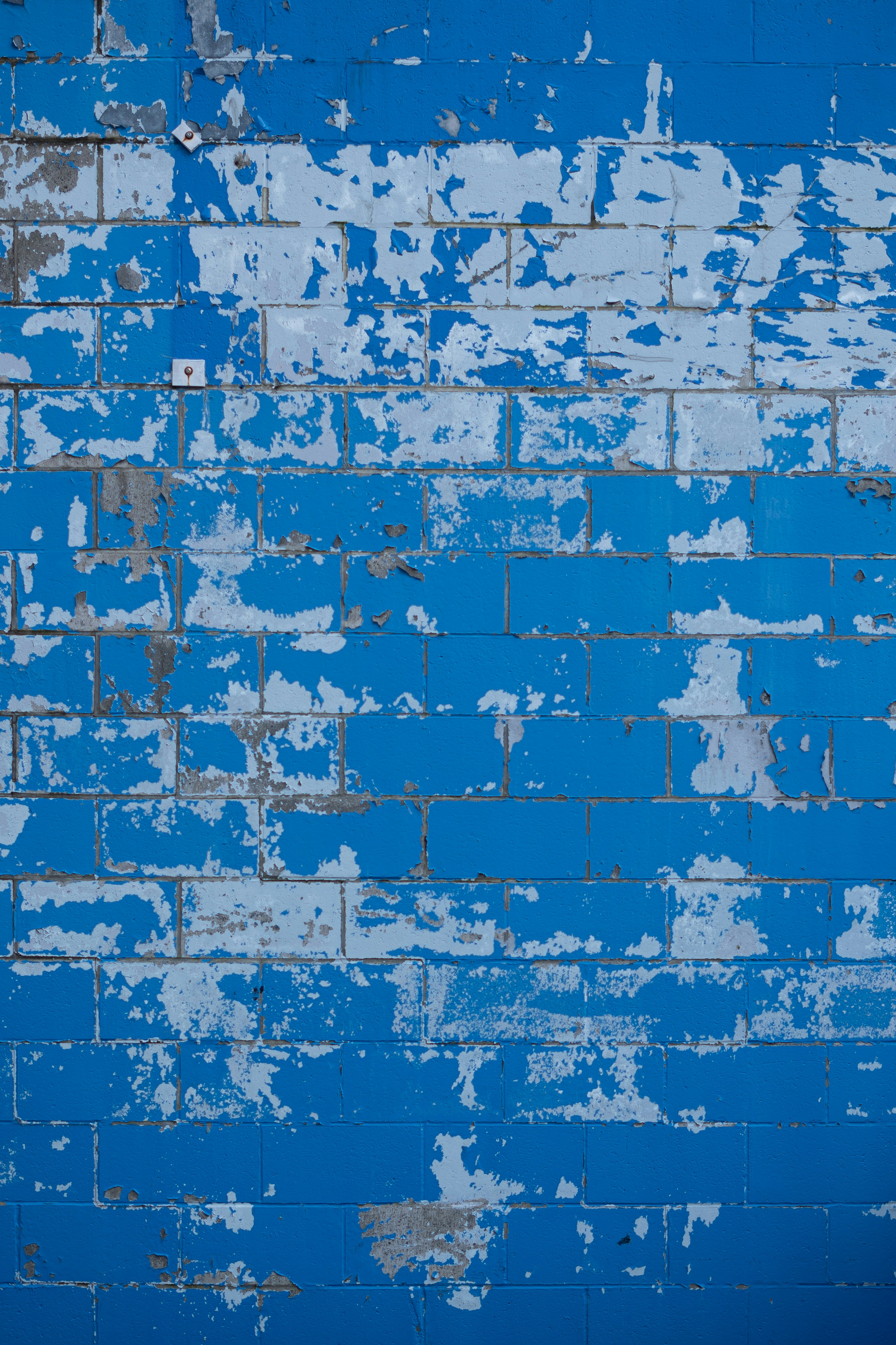 blue headache wallpaper, wallpaper, 10 Obat Sakit Kepala Sebelah Kanan yang Ampuh di Apotek 2