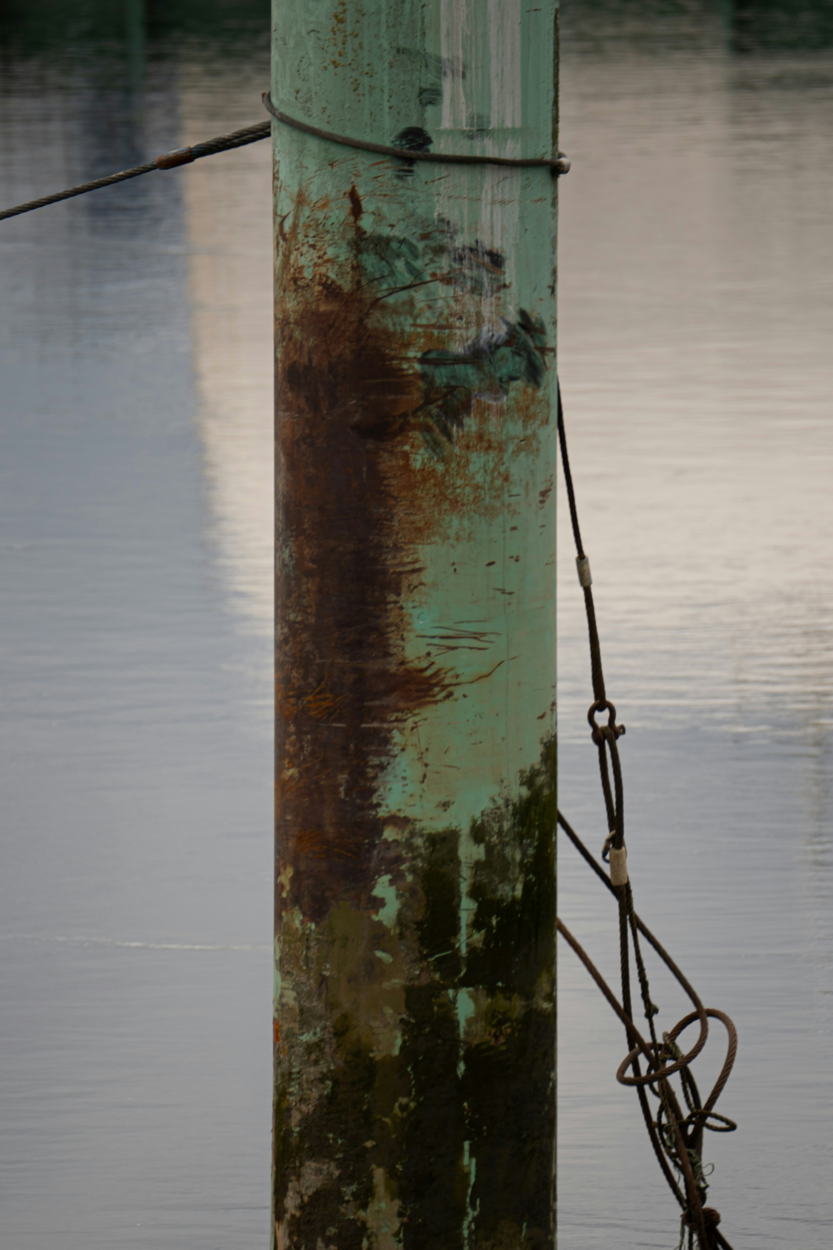 11 Premium Fishing Rods Built with Anti-Corrosion Materials