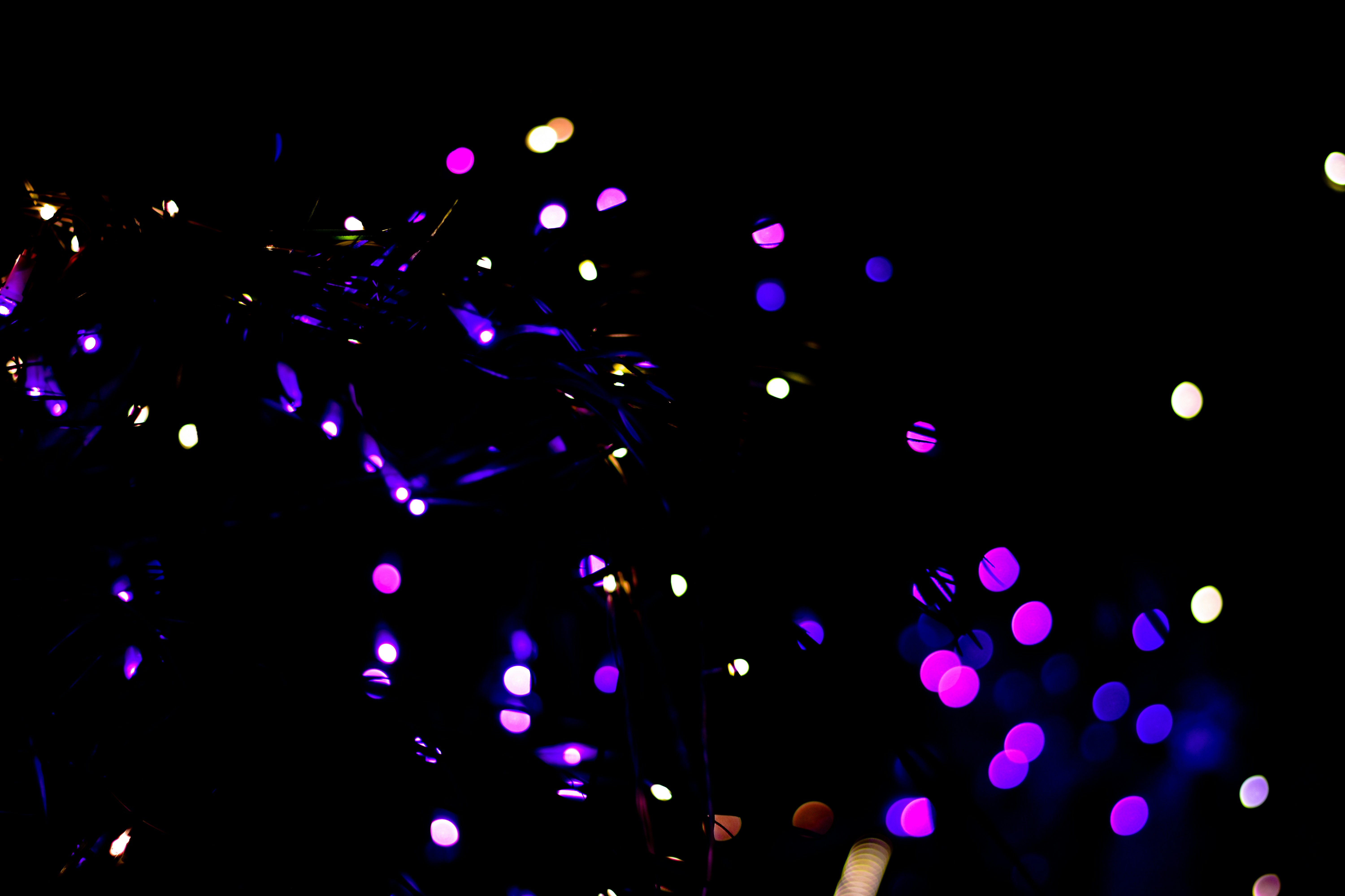 Photo by neelakshi_singh_