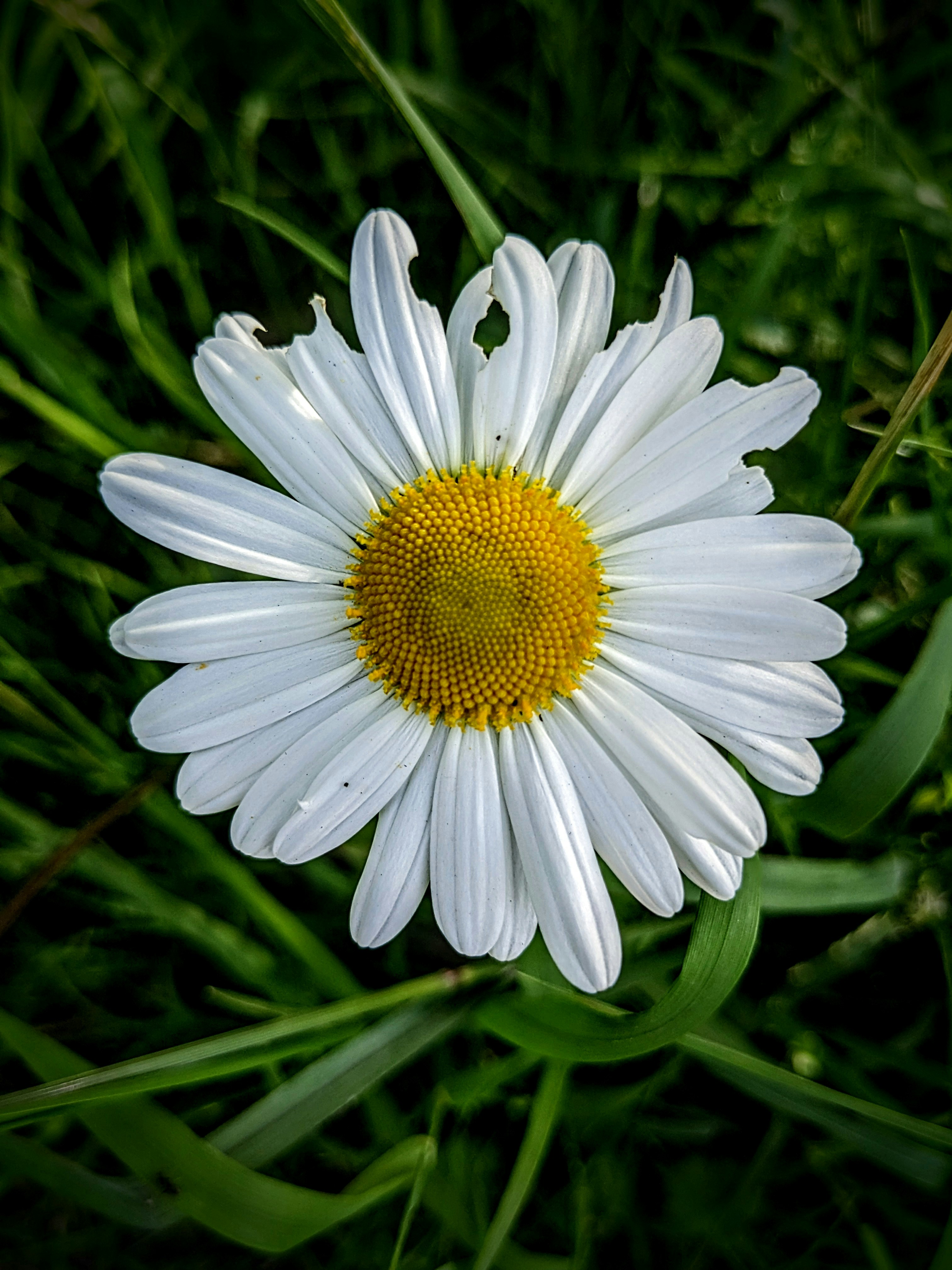 Photo by capture_joy