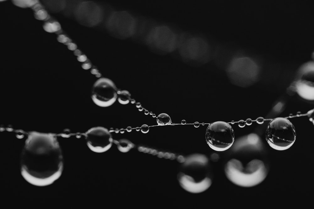 a black and white photo of water droplets on a chain