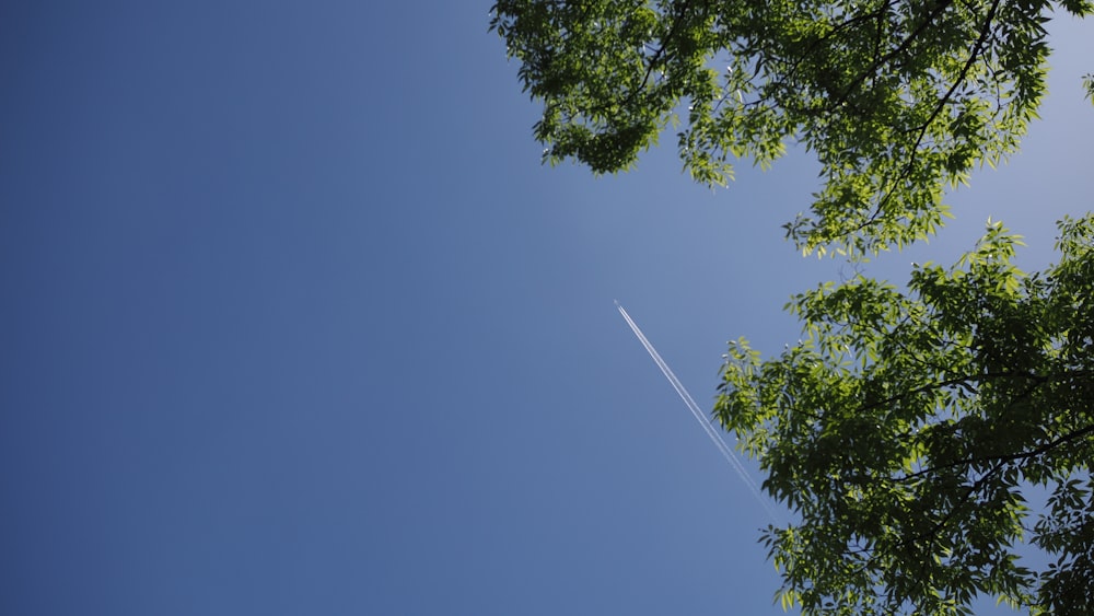 Un avión vuela alto en el cielo