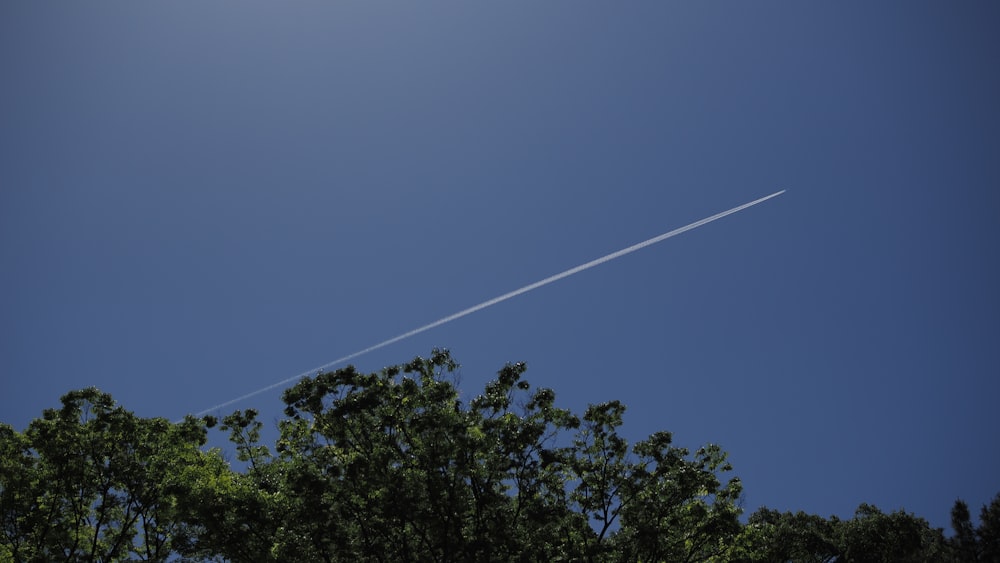 an airplane is flying in the sky above the trees