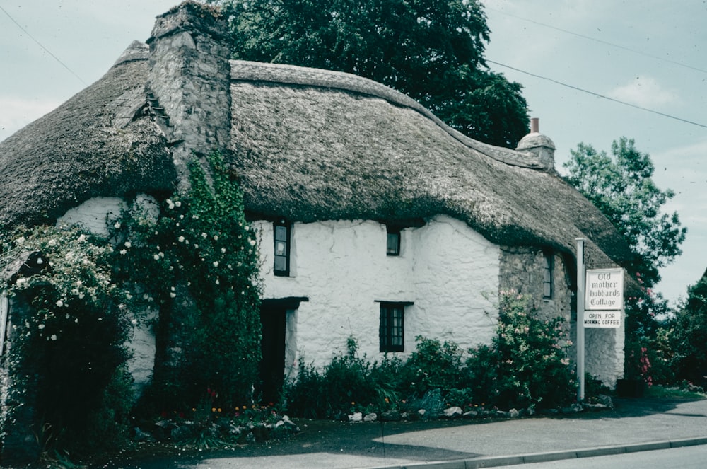 a white thatched house with a thatched roof