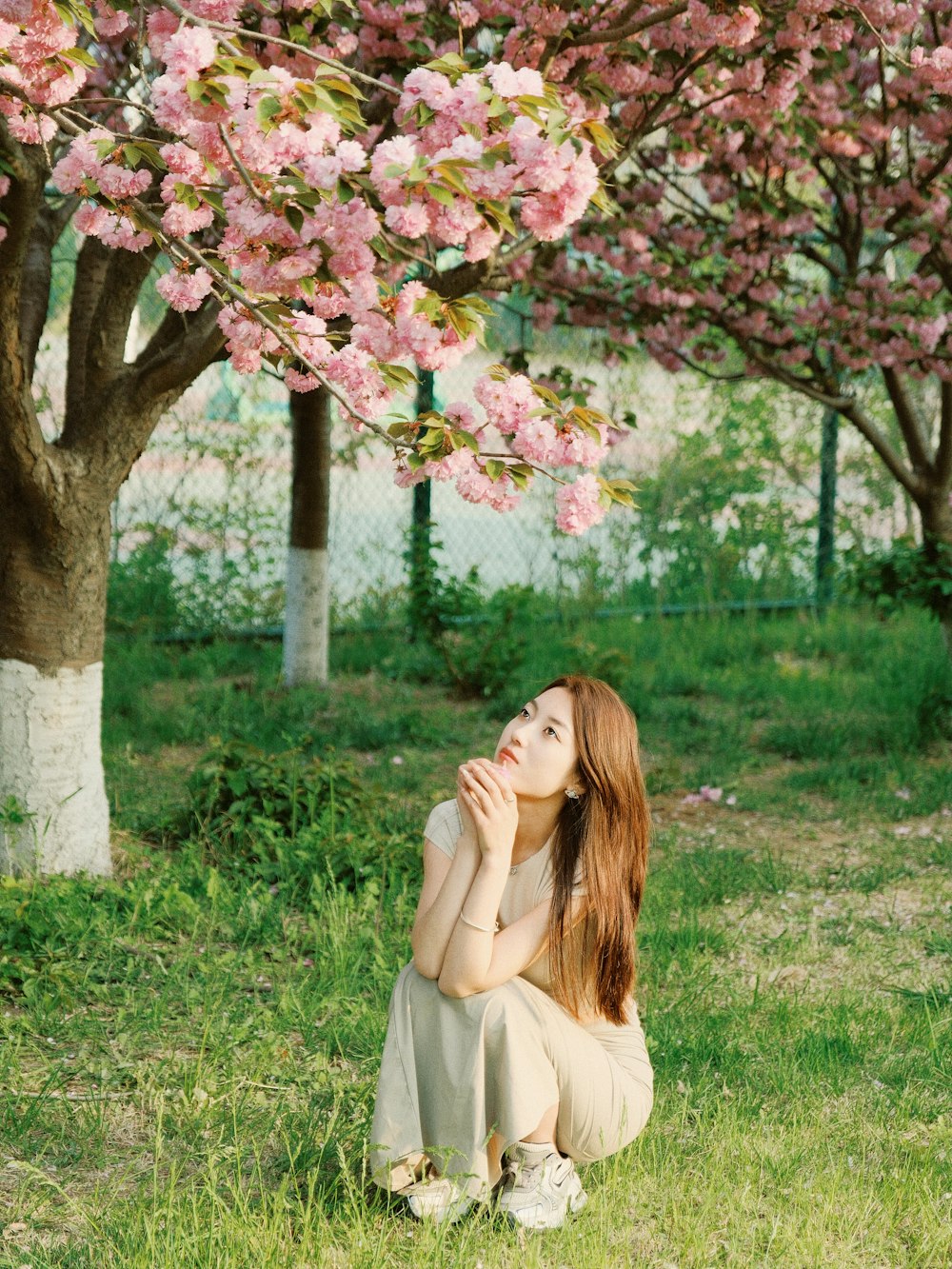 a woman sitting in the grass under a blossoming tree