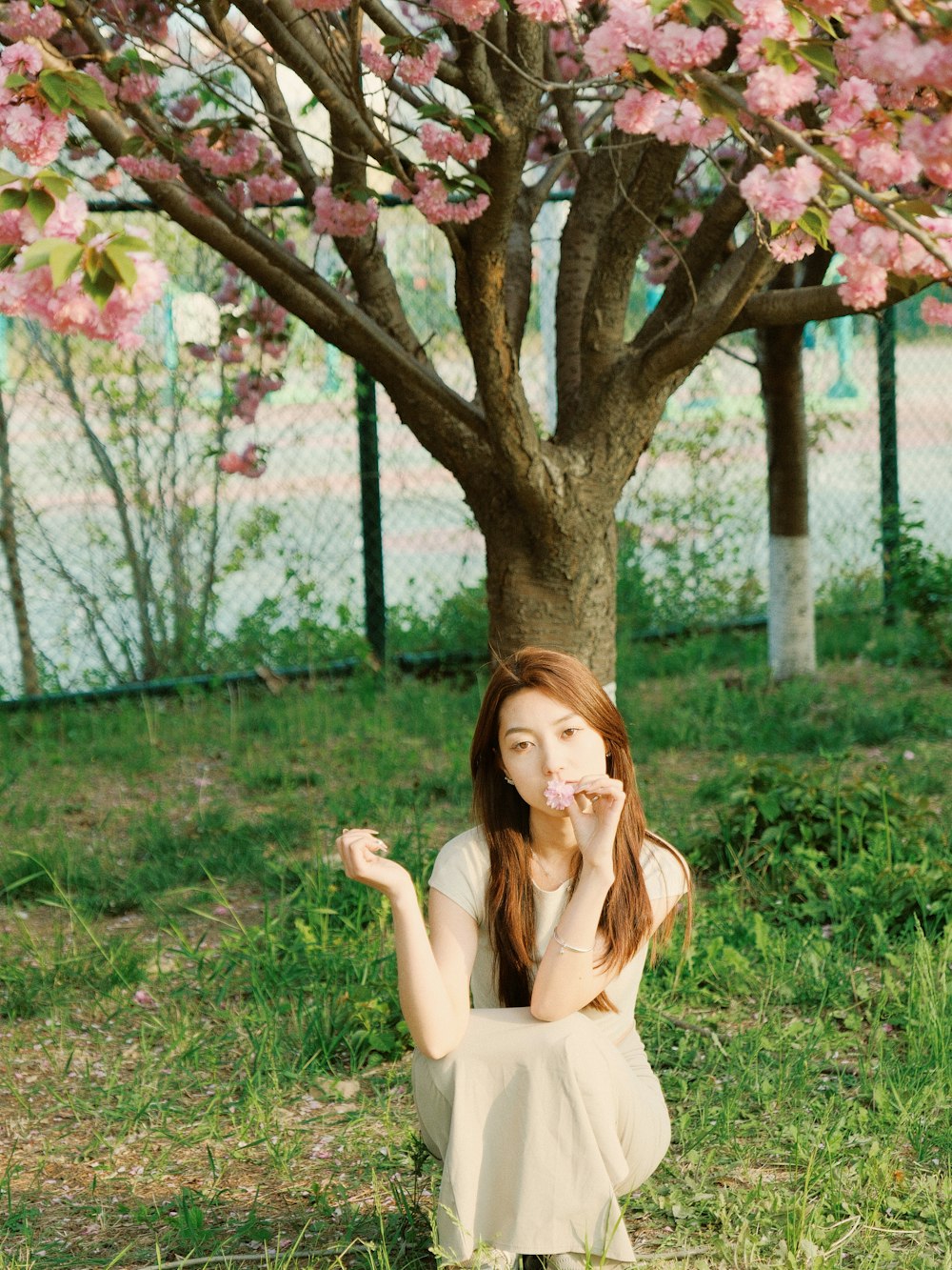 a woman sitting under a tree with pink flowers