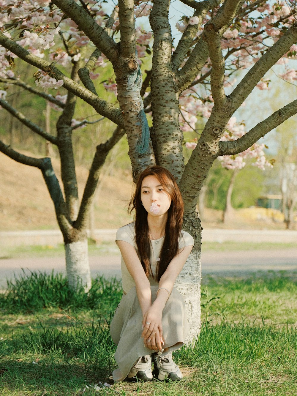 a woman sitting in the grass next to a tree