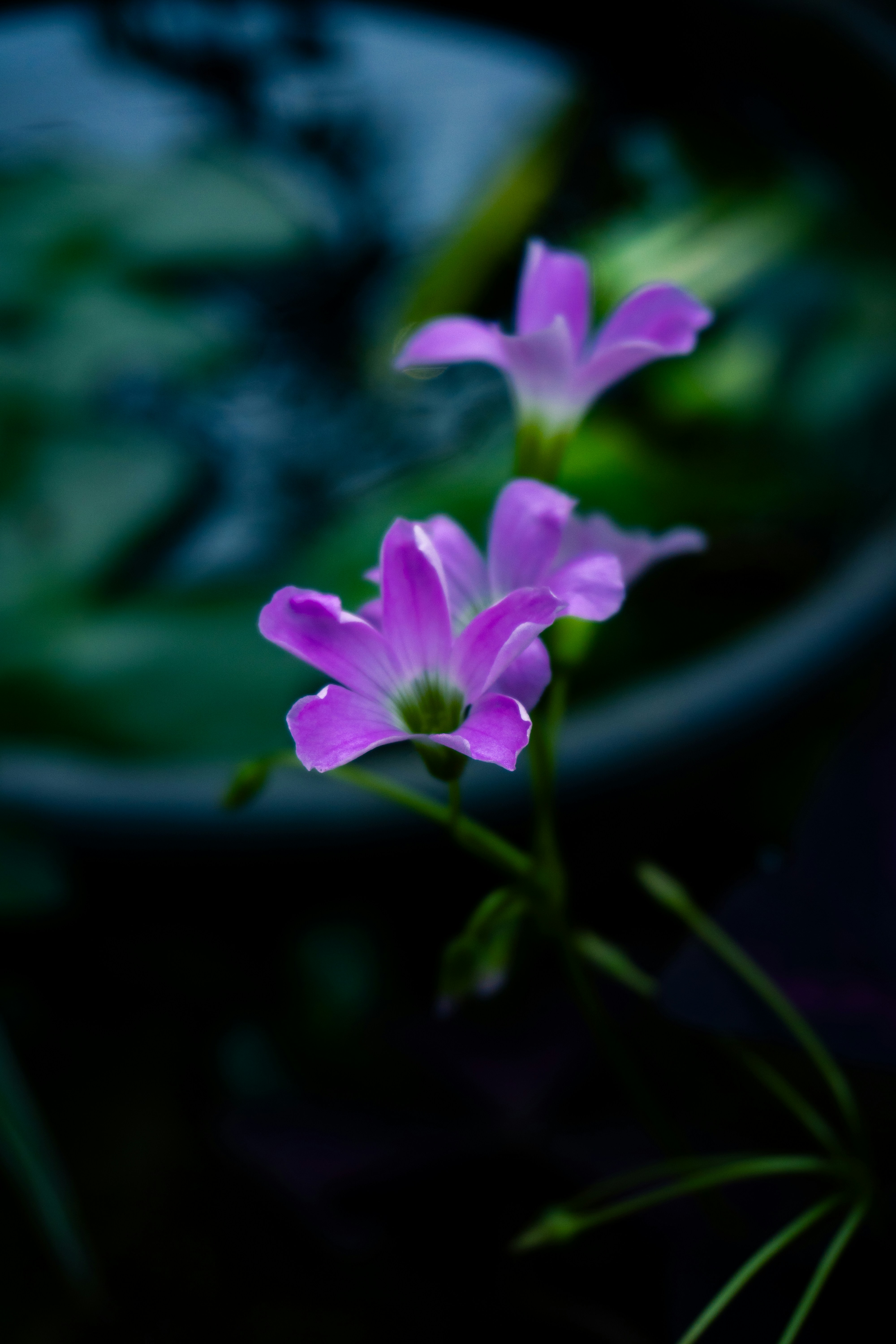 Photo by hilmanrofiq