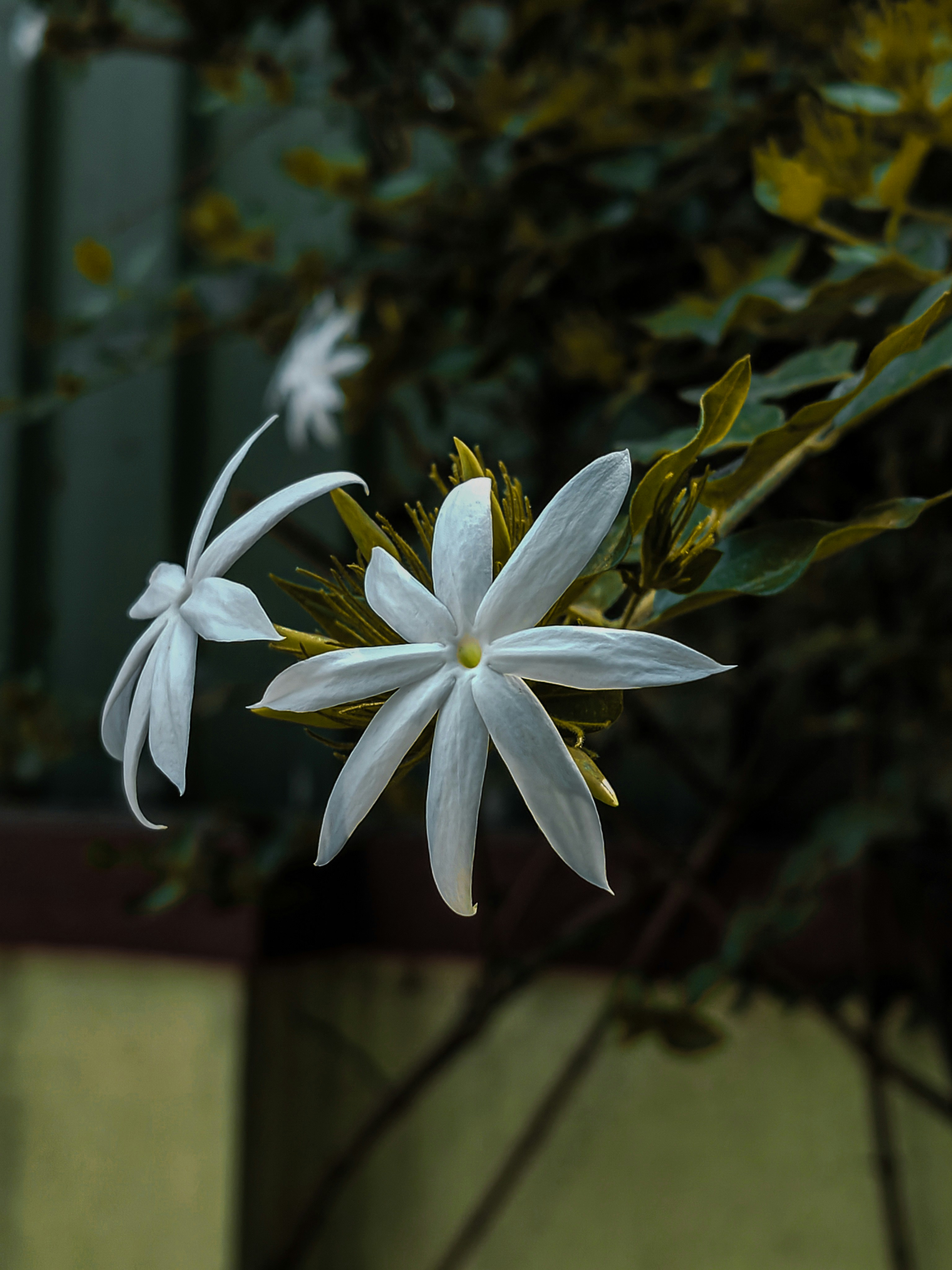 Photo by rupan_kurmi