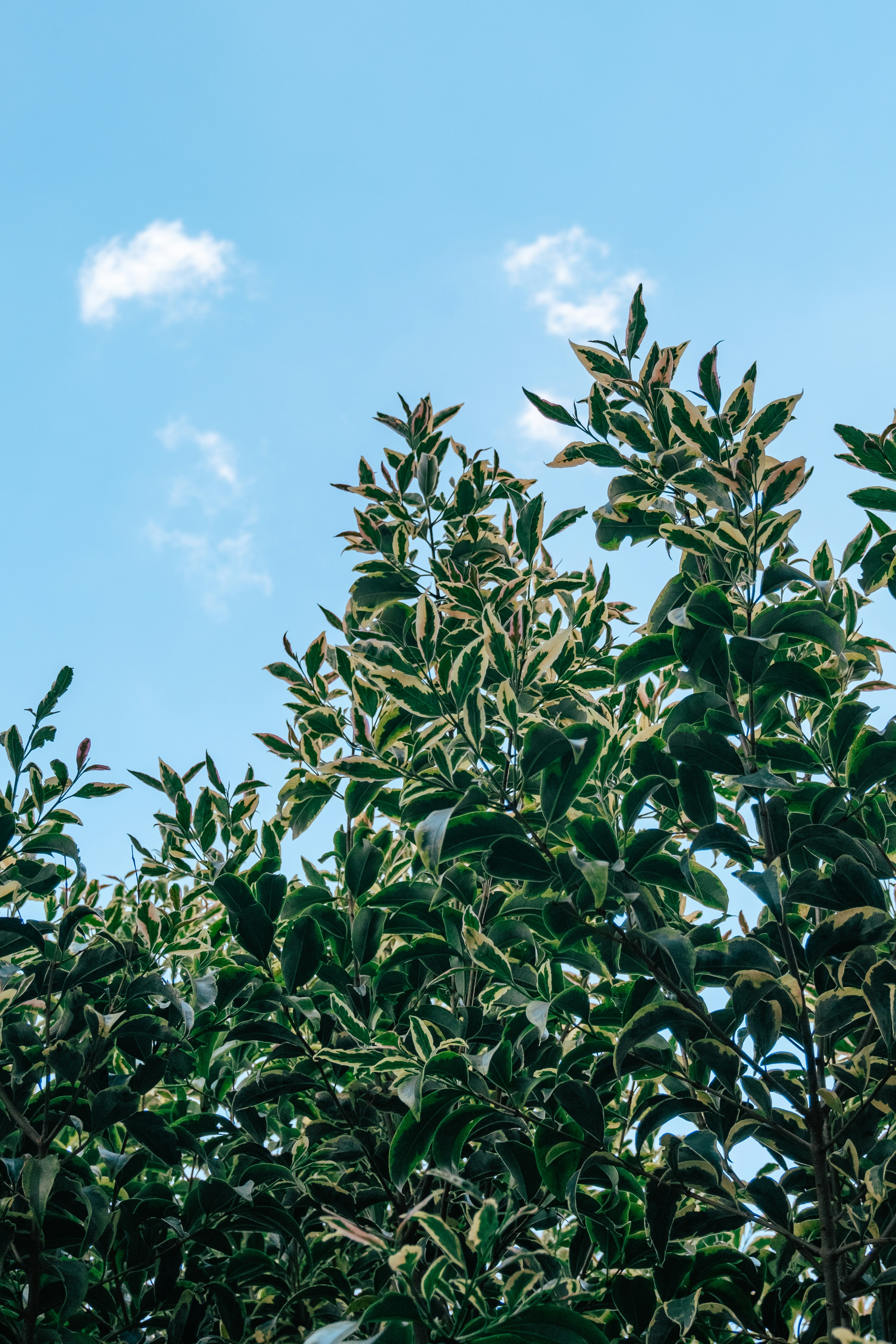 Photo by reganography