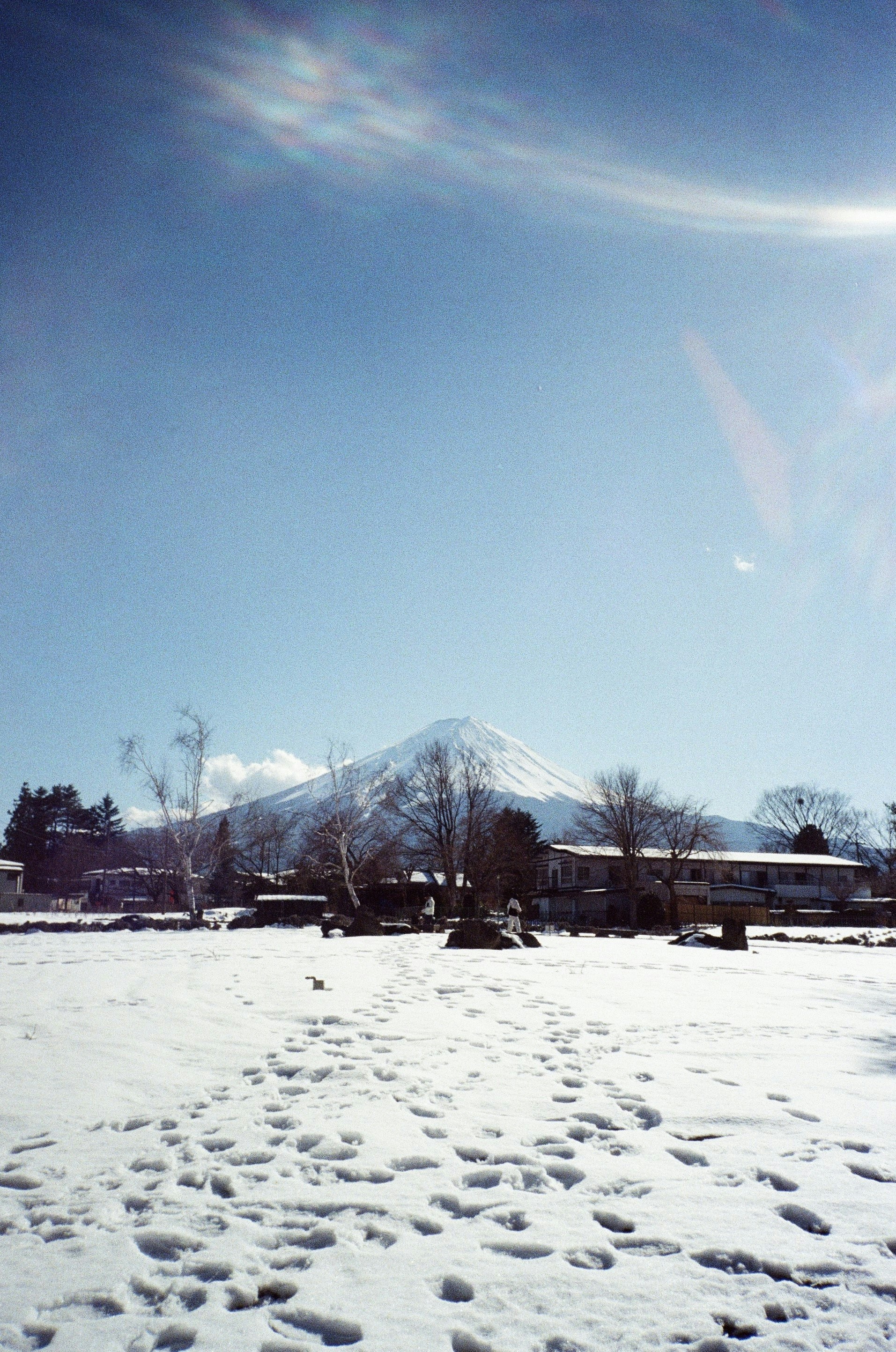 雪に覆われた野原と雪の中の足跡