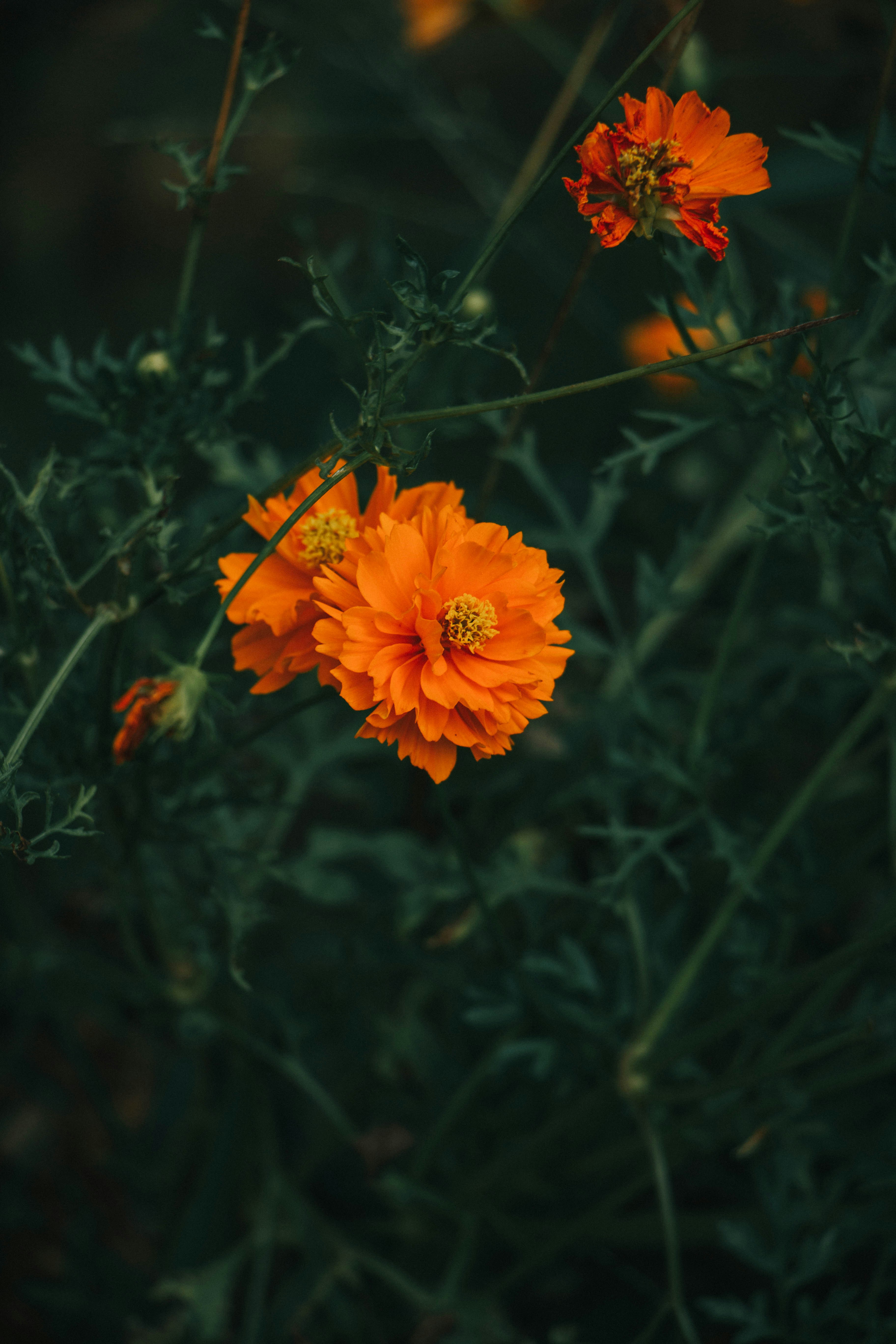 Photo by rishabh_mathew