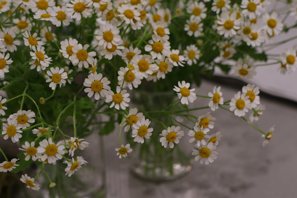 a bunch of daisies in a glass vase