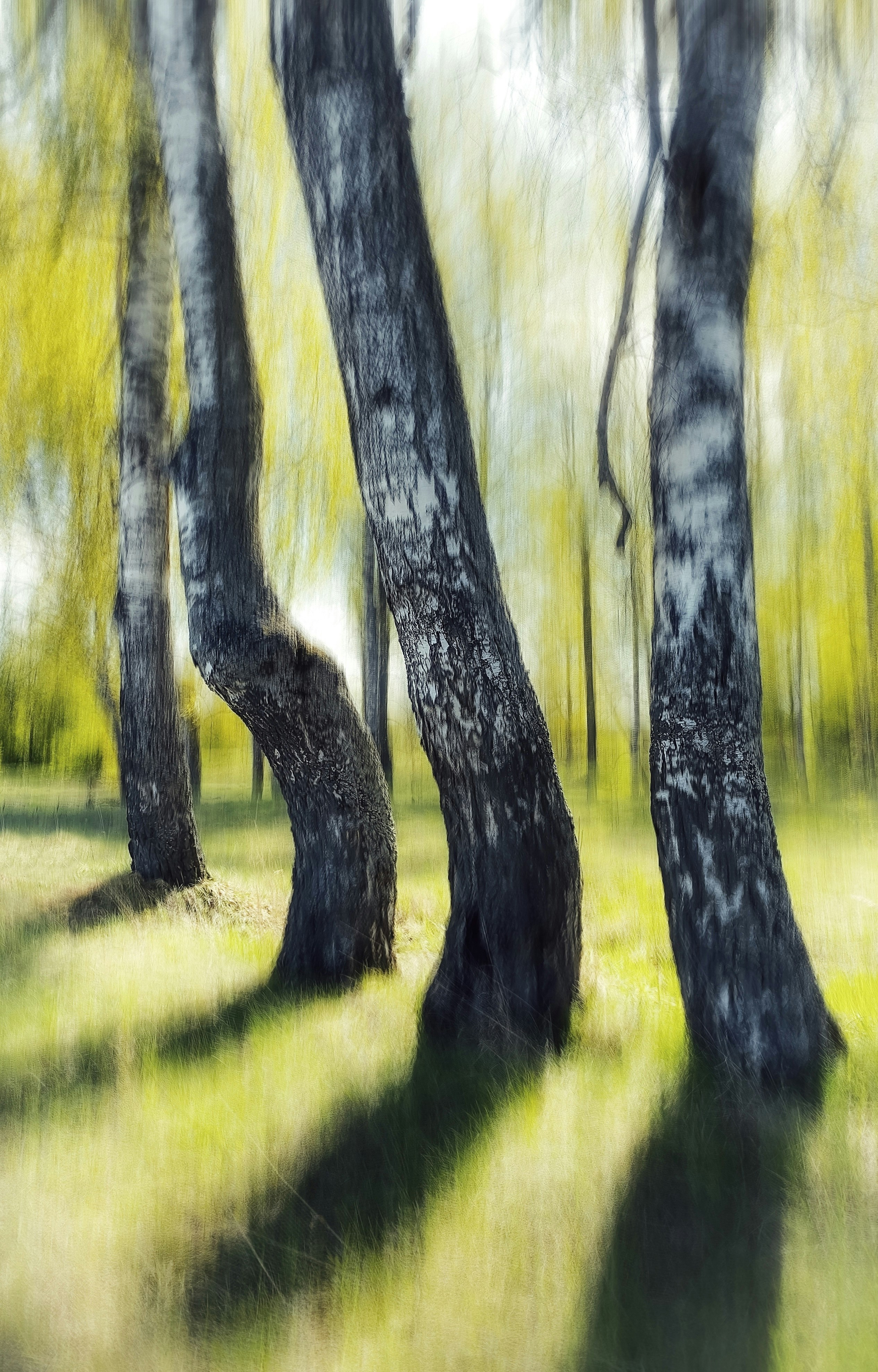 Photo by eugene_golovesov