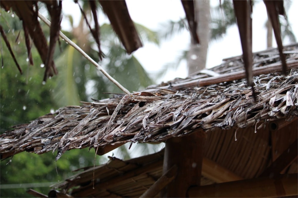 a close up of a thatched roof with trees in the background