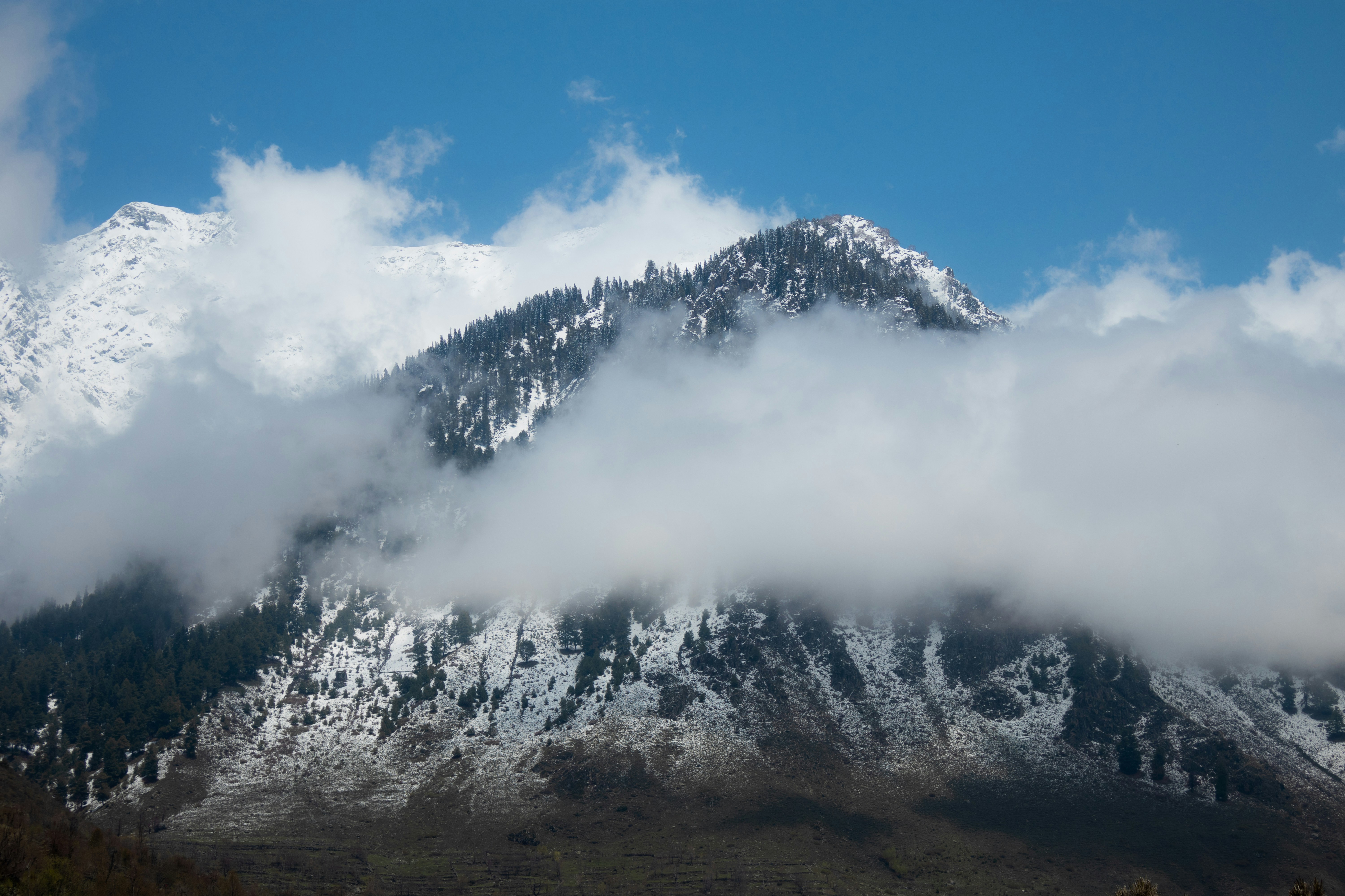 Photo by vedanthravi