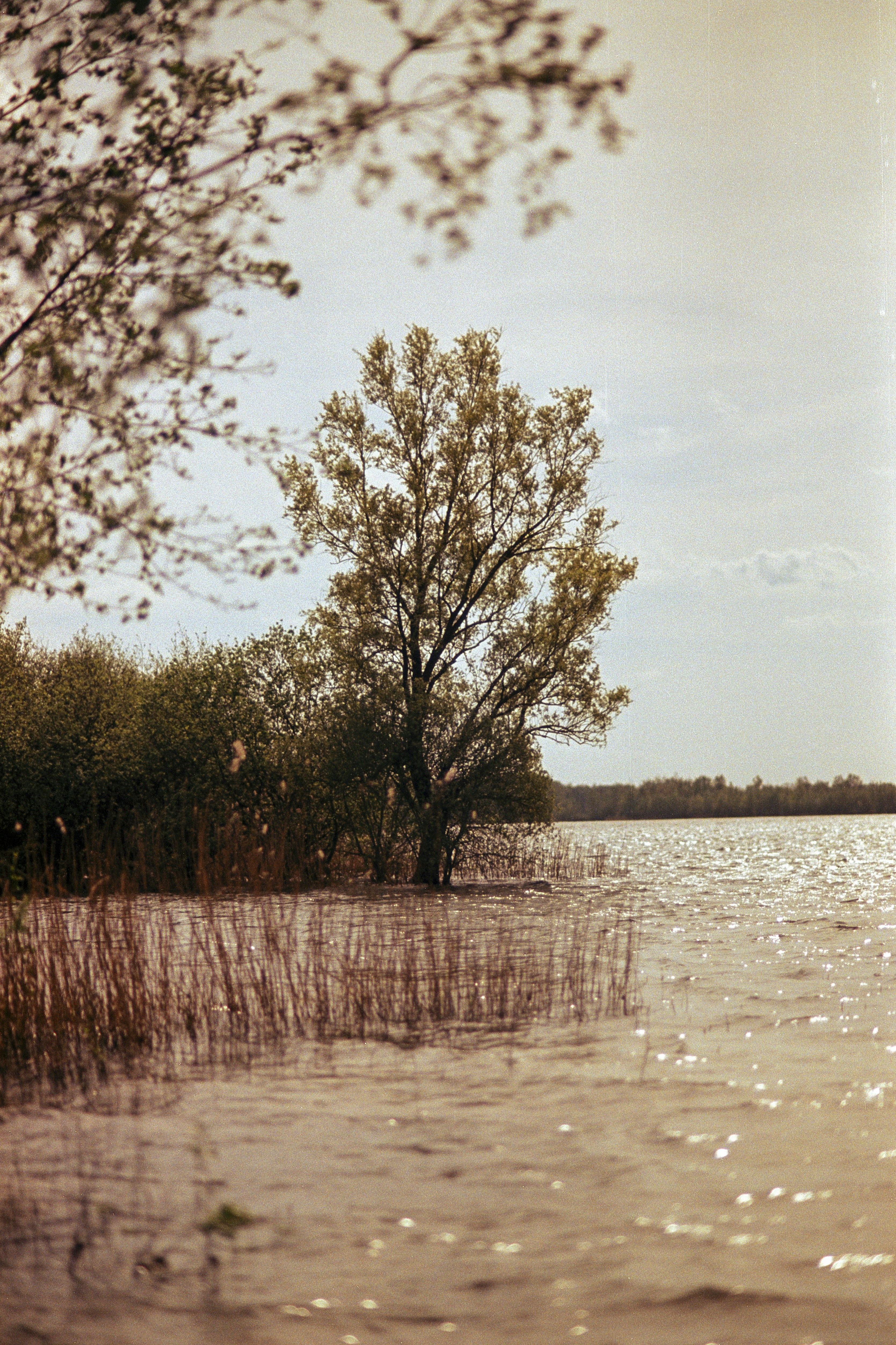 Photo by artistseyes