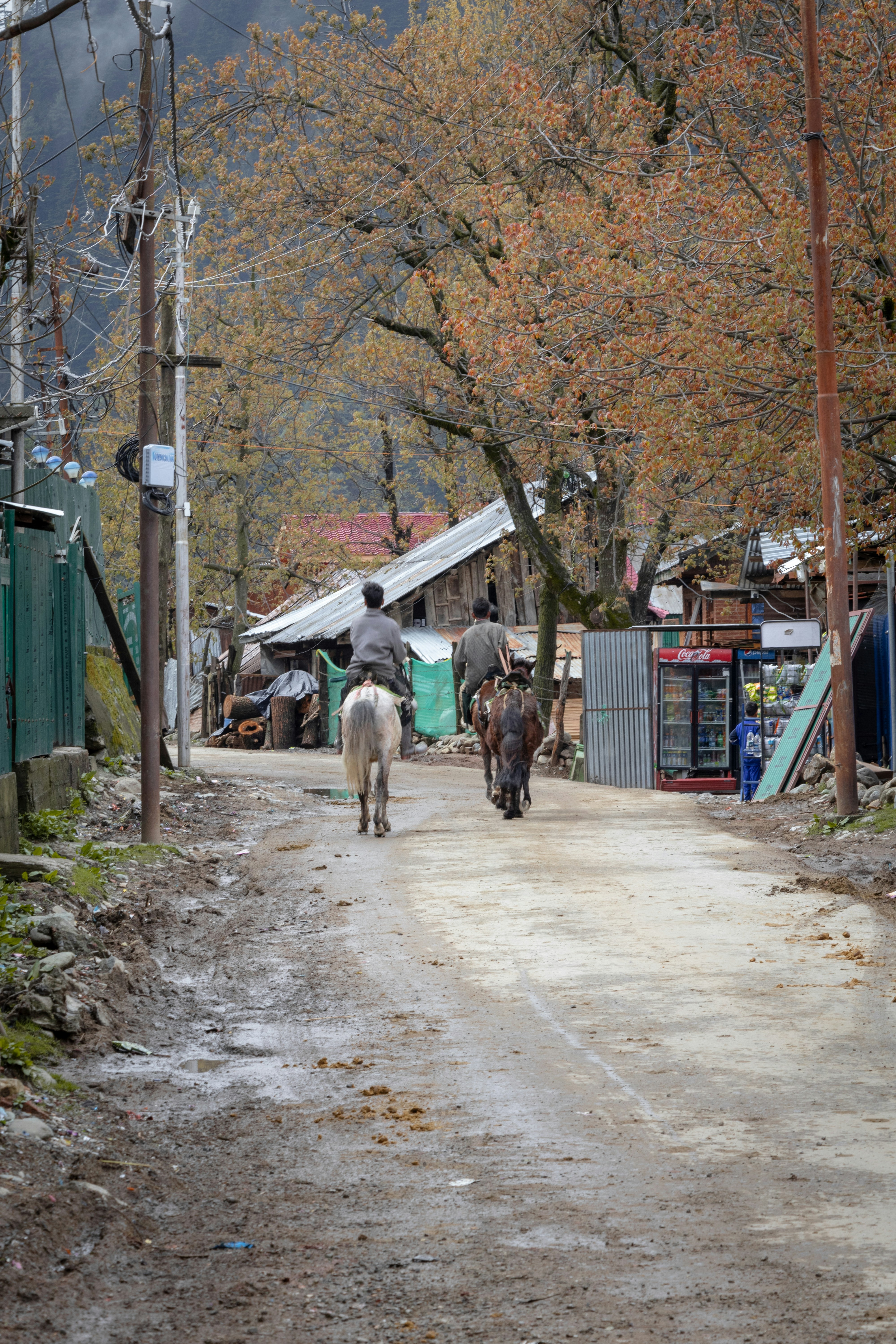 a man riding a horse down a dirt road