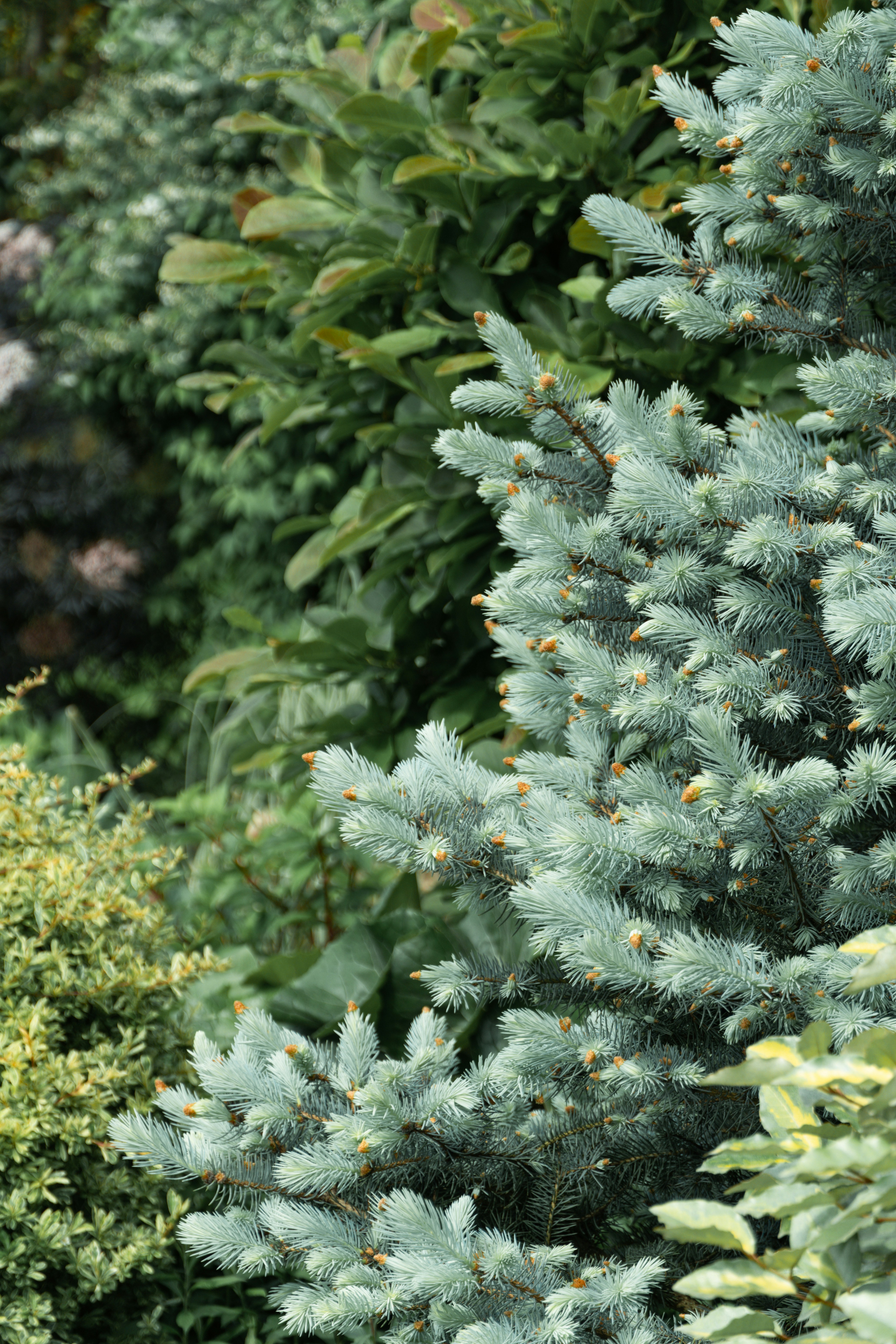 a bench sitting in the middle of a garden