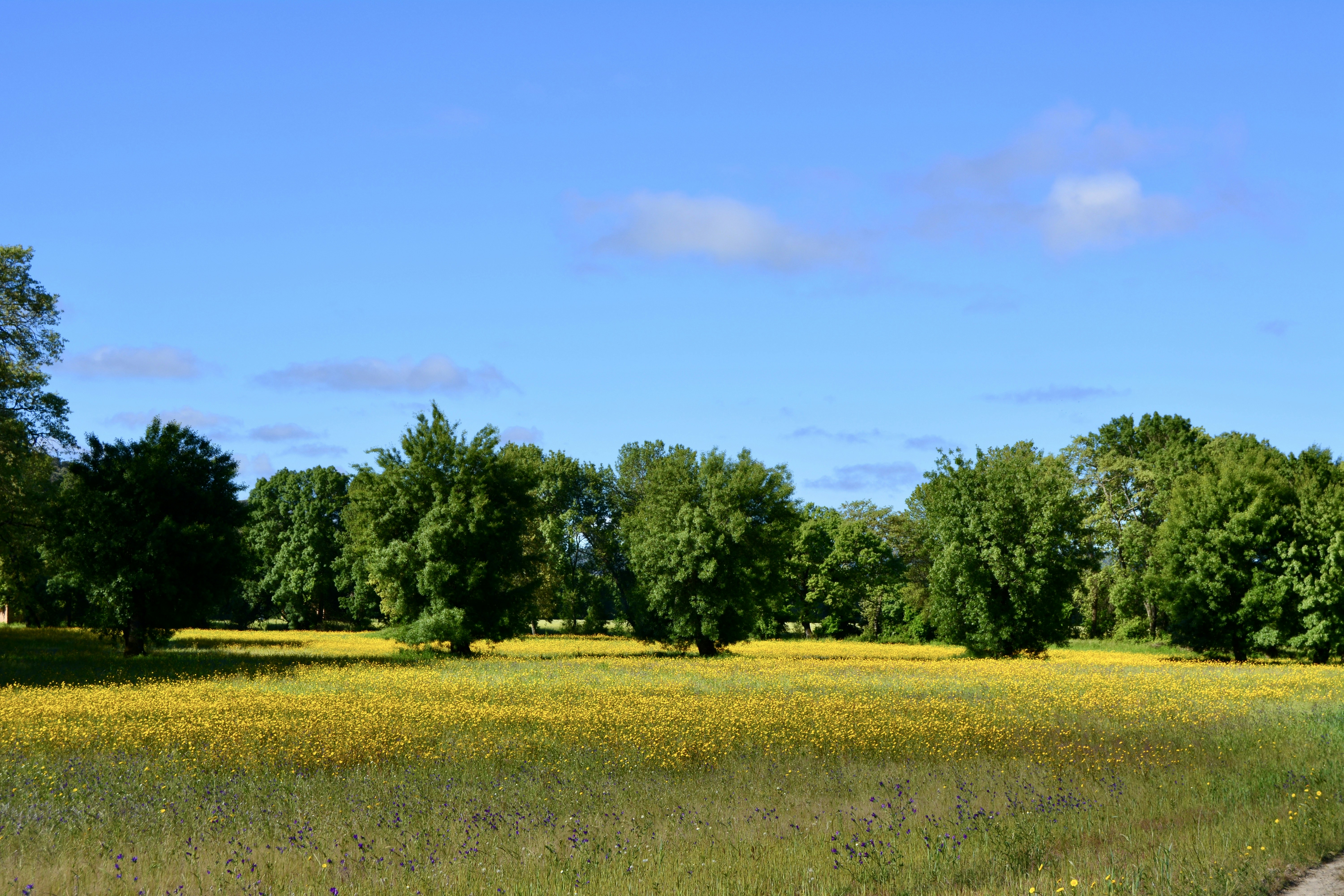 Photo by solmedoariza