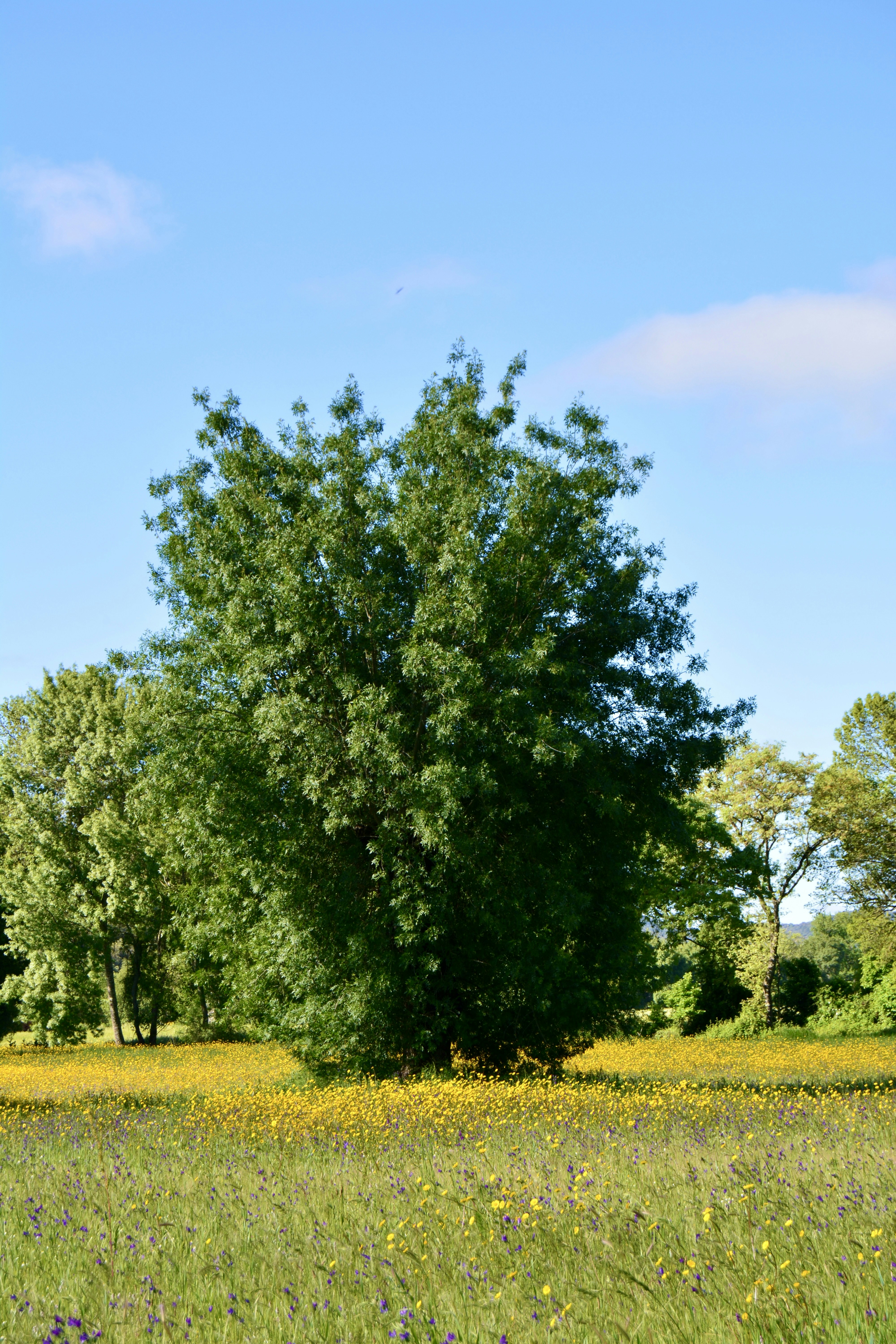 Photo by solmedoariza