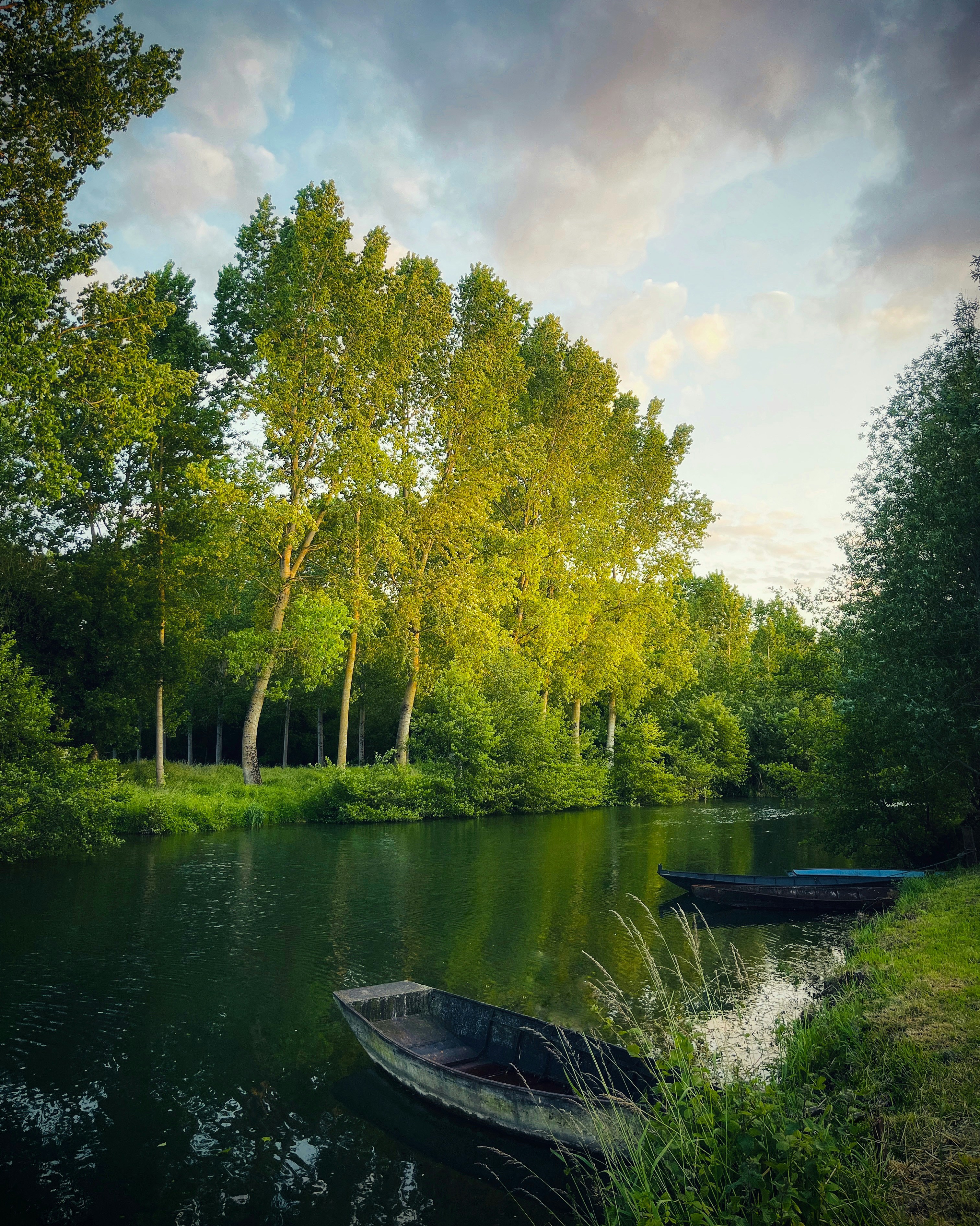 Photo by artofnature