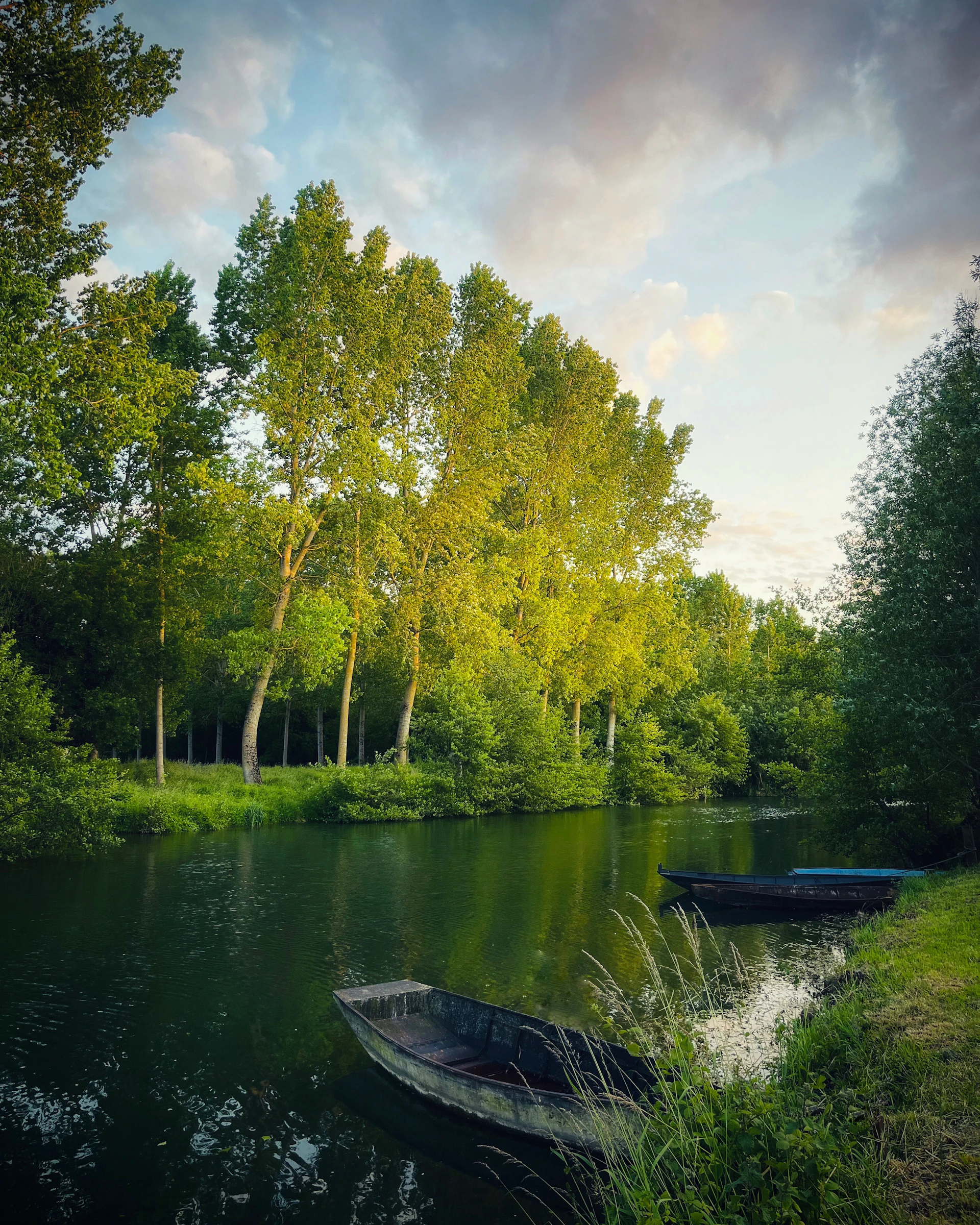 a small boat floating on top of a river next to a lush green forest