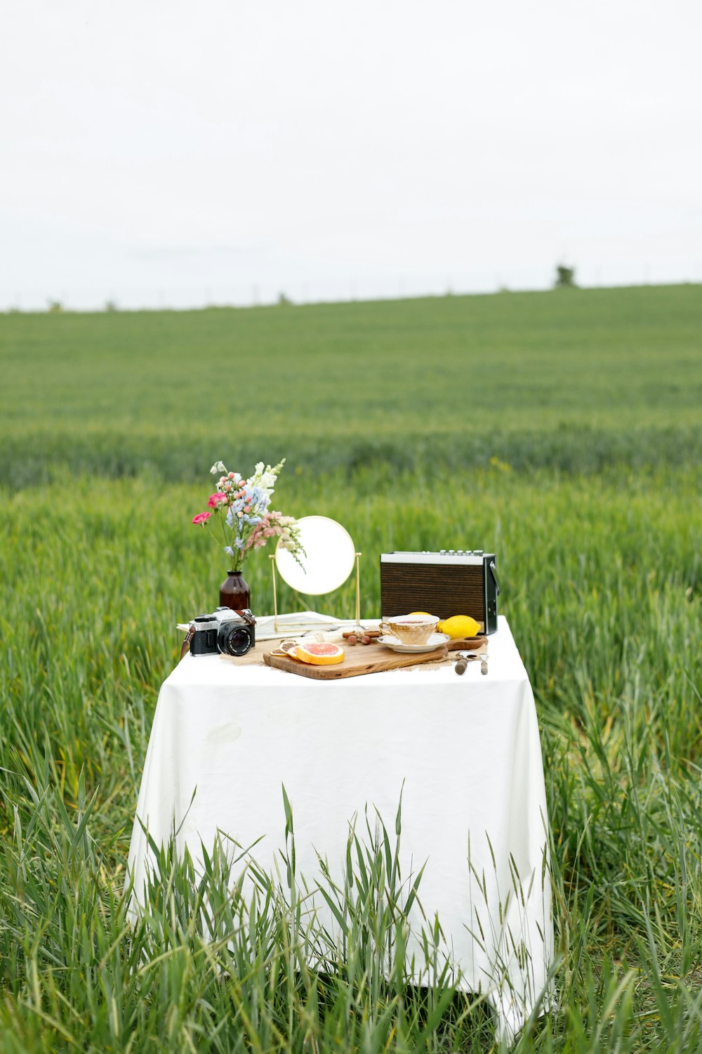 a table with a white table cloth in a field