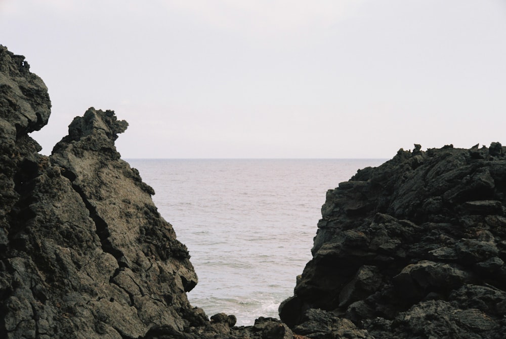 un uccello seduto su una roccia vicino all'oceano