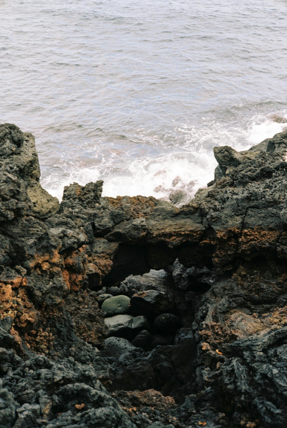 un pájaro sentado en una roca cerca del océano