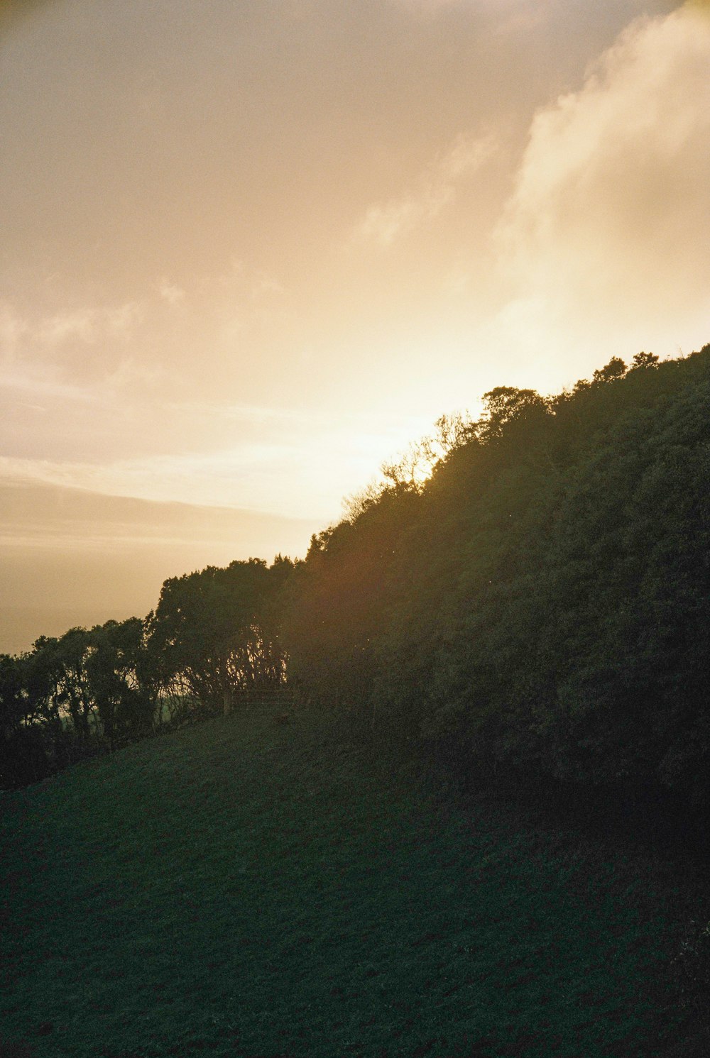 the sun is setting over a grassy hill