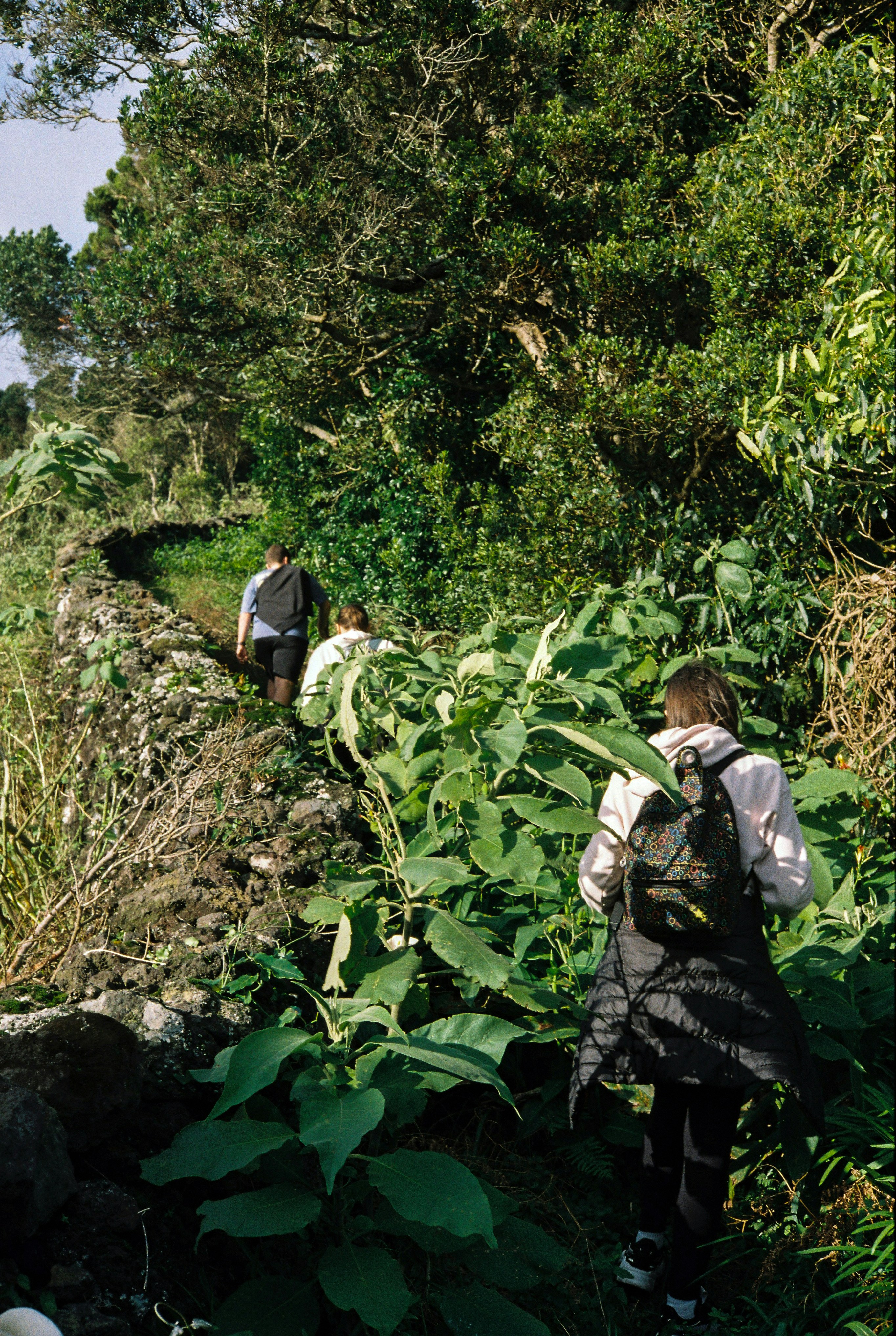 a couple of people that are walking in the grass
