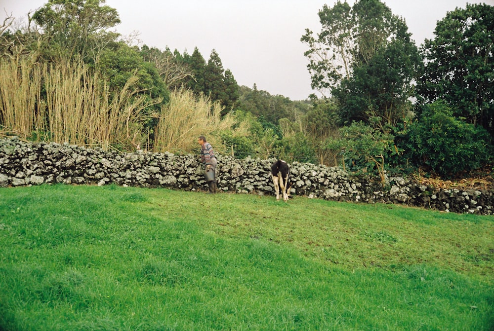 una persona che porta a spasso un cane in un campo erboso