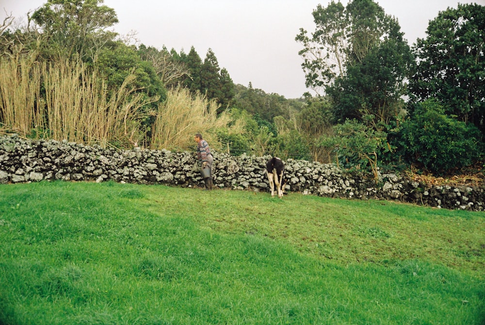 a person walking a dog in a grassy field