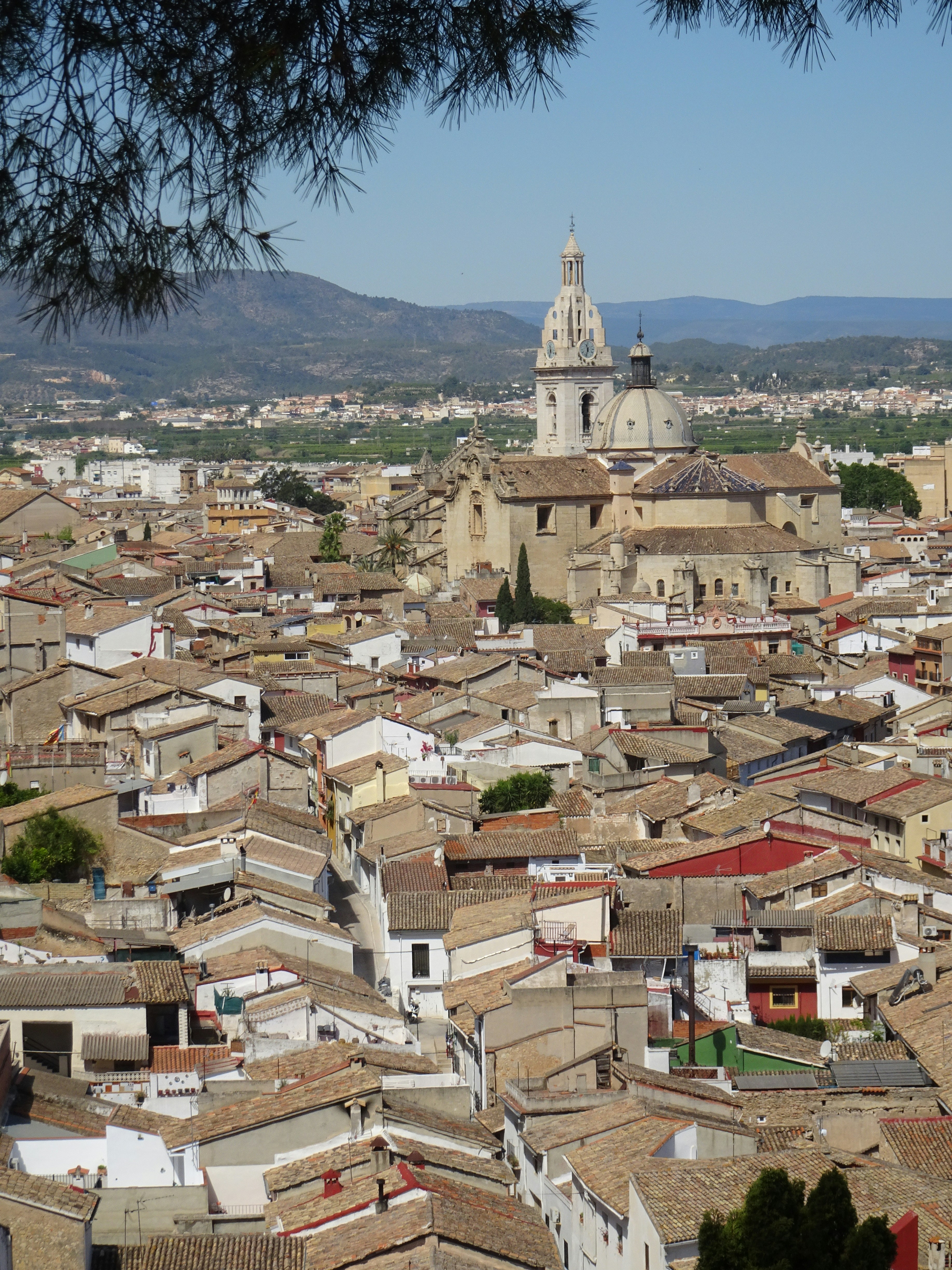 Photo by ludovico_06