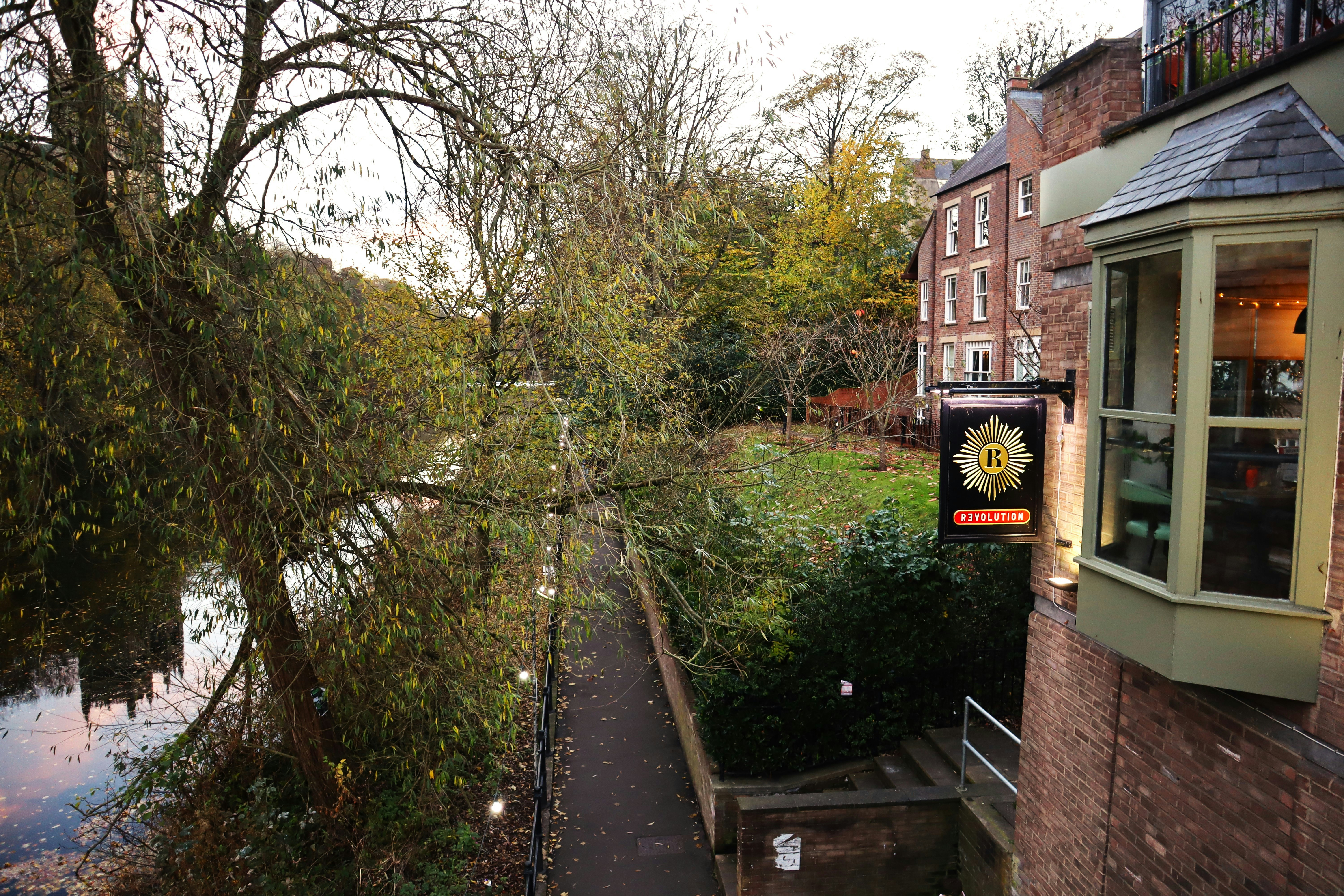 a river running through a lush green forest
