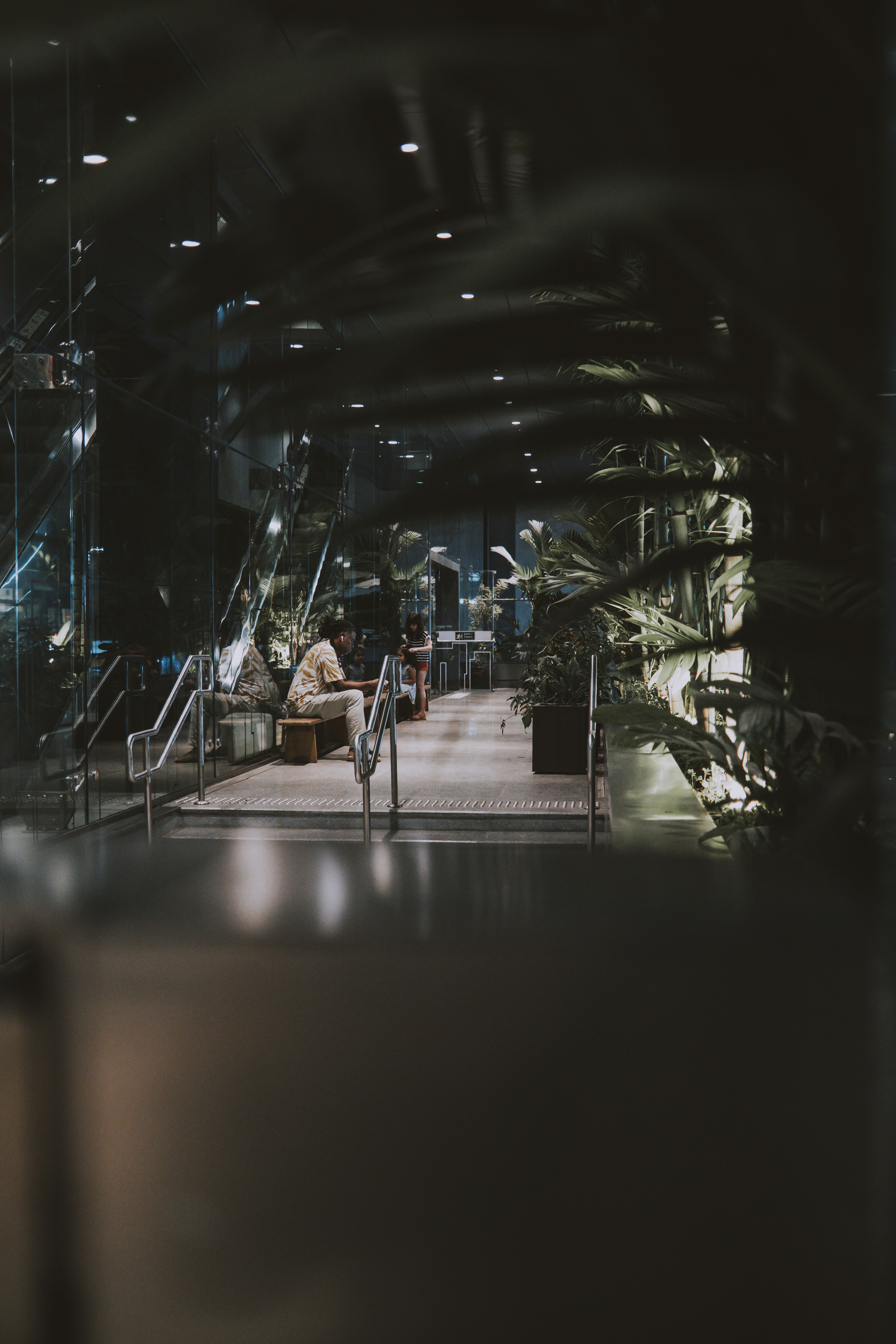 Photo by darwinboaventura