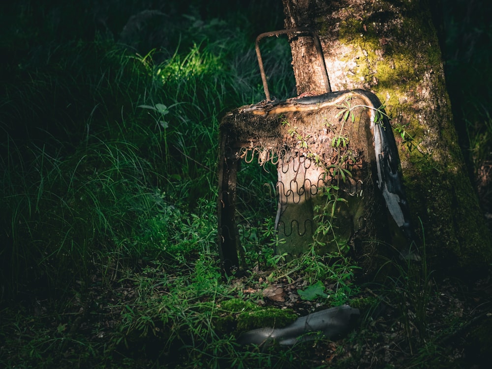 a broken suitcase sitting in the grass next to a tree