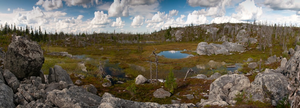 a rocky landscape with a pond surrounded by trees